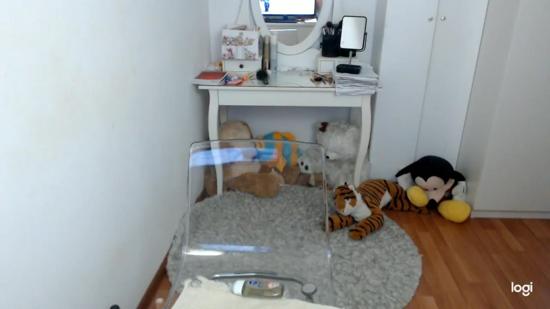 Gallery image thumbnail from WinterJewel's myfreecams stream on, 02/07/2026, 08:10 image 14 of 20