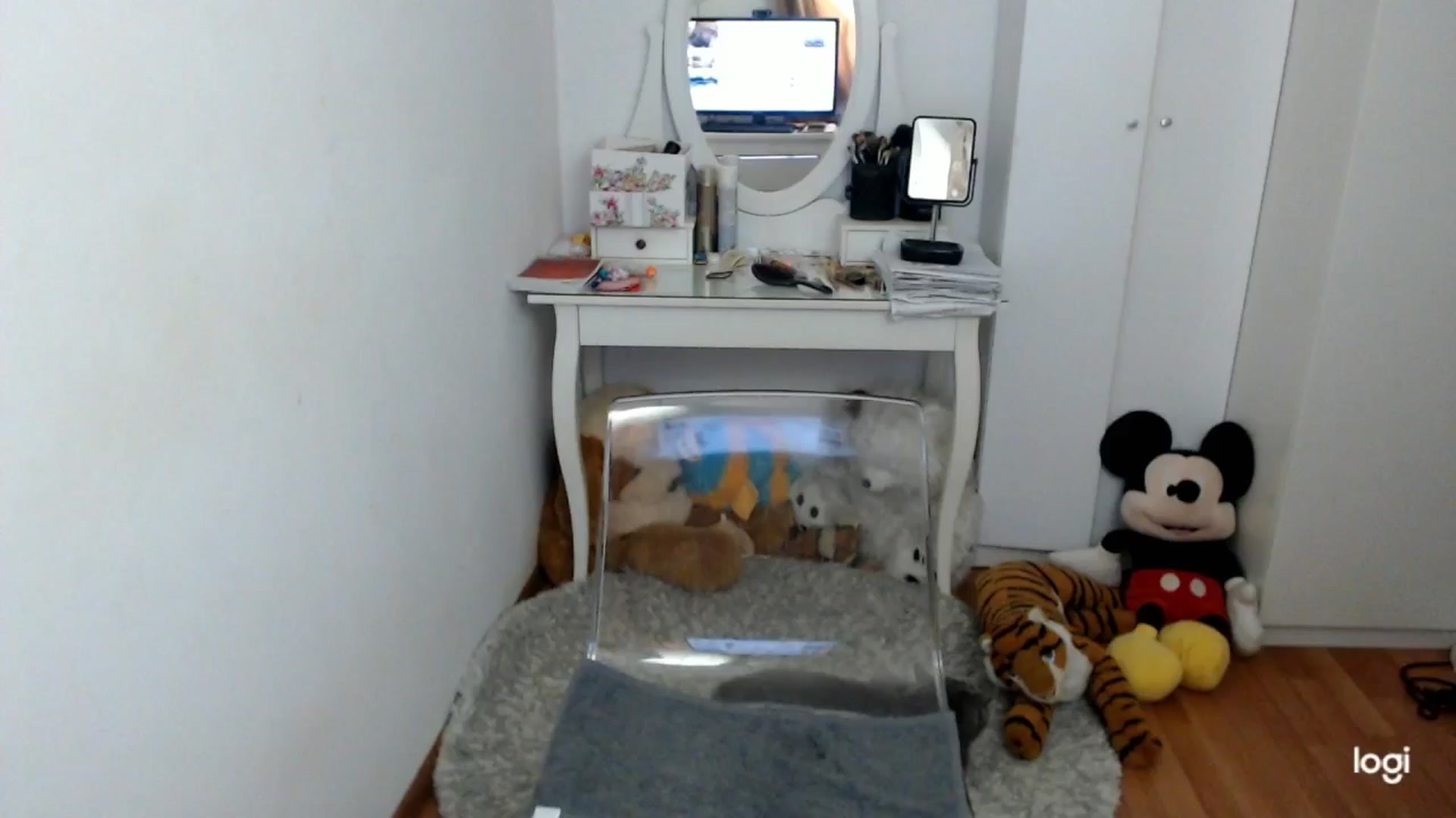 Gallery image thumbnail from WinterJewel's myfreecams stream on, 02/10/2026, 09:50 image 9 of 20