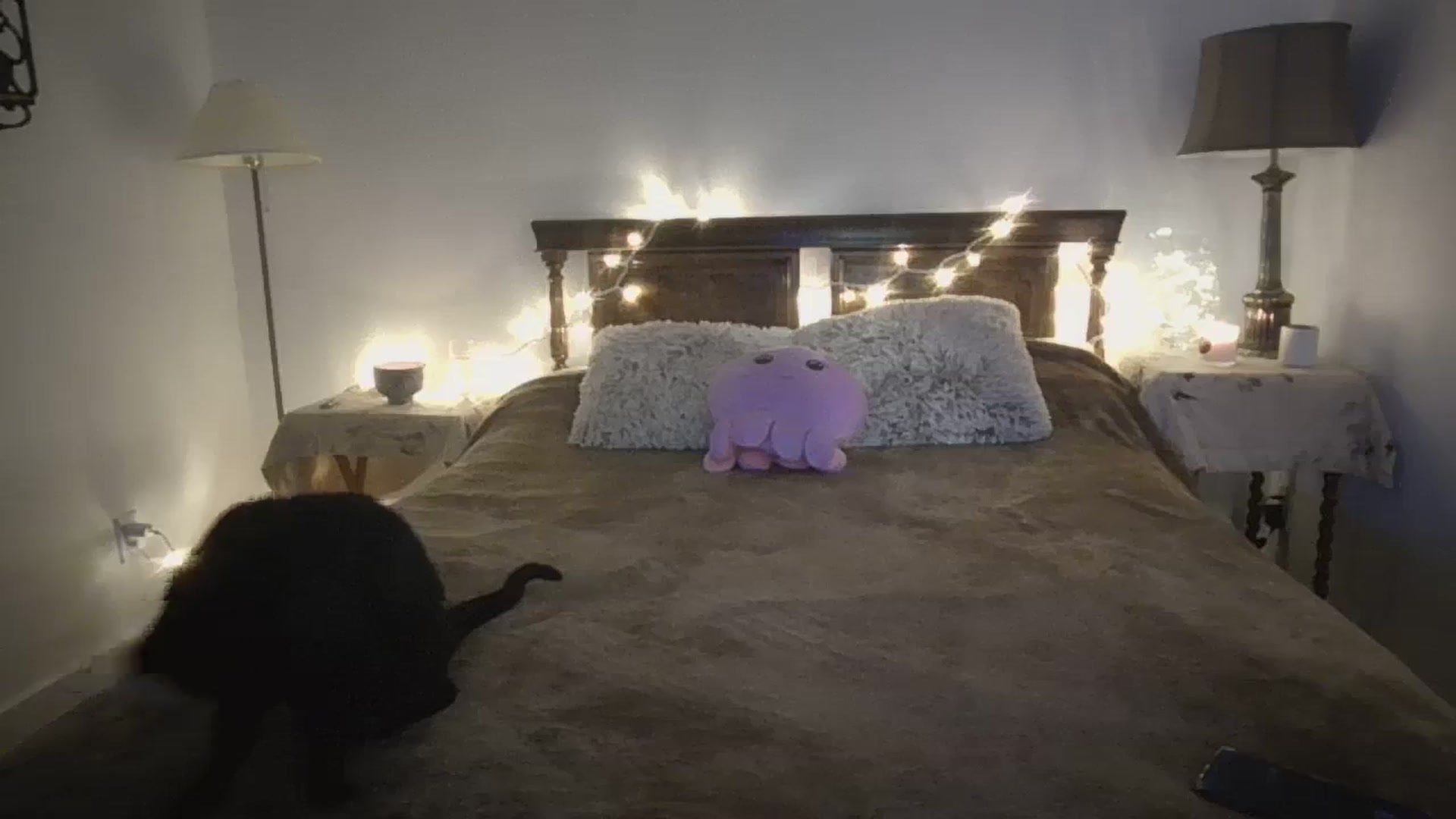 Gallery image thumbnail from Winxzyyy's myfreecams stream on, 01/02/2024, 05:06 image 6 of 20