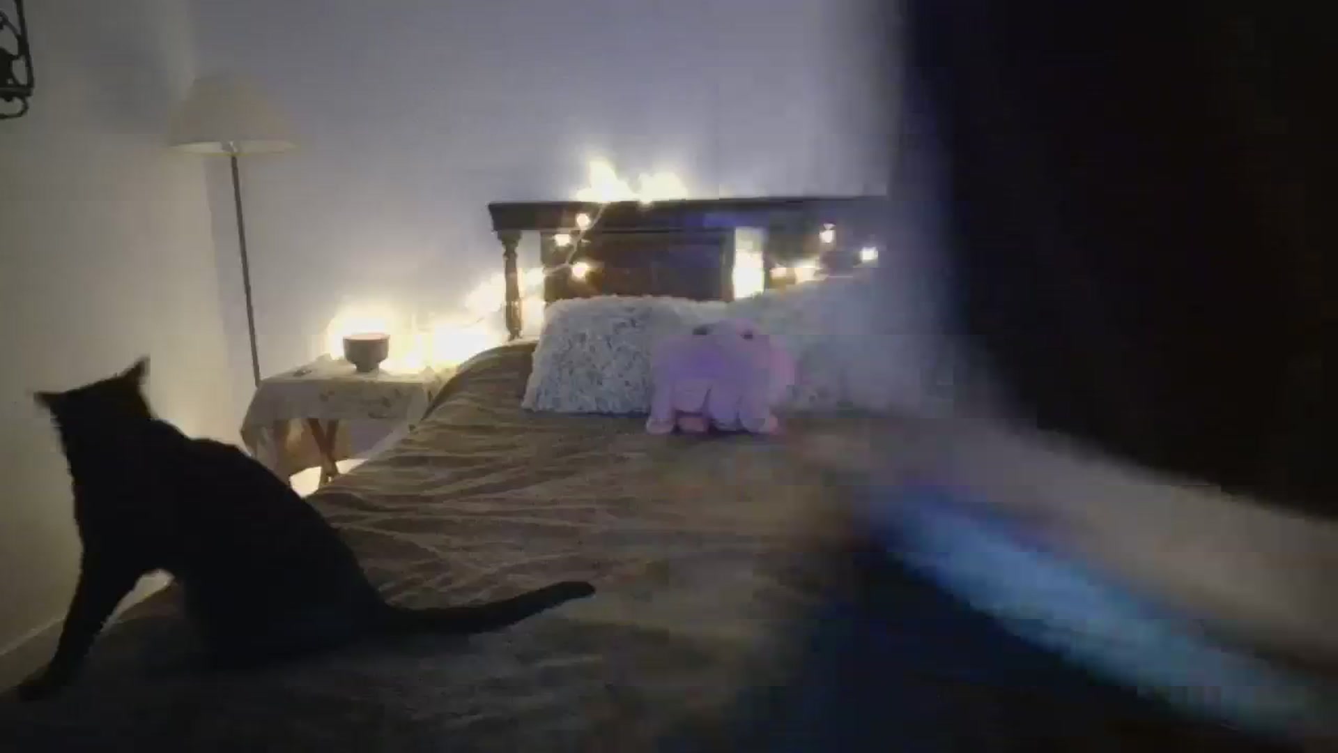 Gallery image thumbnail from Winxzyyy's myfreecams stream on, 01/02/2024, 05:06 image 5 of 20