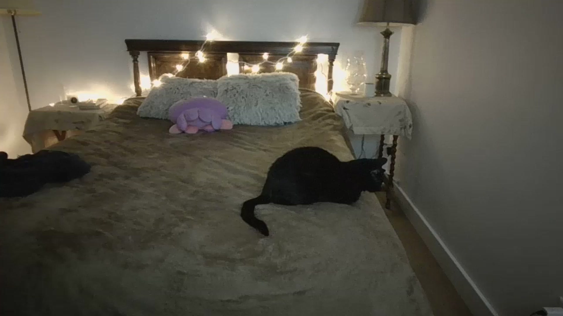 Gallery image thumbnail from Winxzyyy's myfreecams stream on, 01/06/2024, 10:08 image 2 of 20