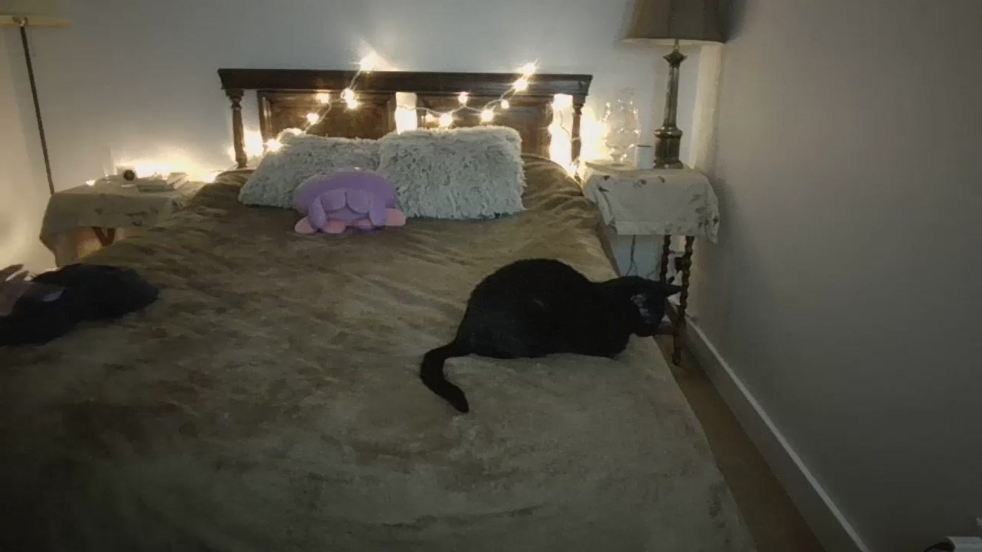 Gallery image thumbnail from Winxzyyy's myfreecams stream on, 01/06/2024, 10:08 image 3 of 20