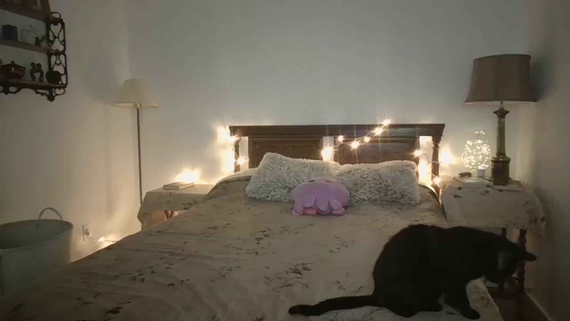 Gallery image thumbnail from Winxzyyy's myfreecams stream on, 01/28/2024, 04:55 image 4 of 20