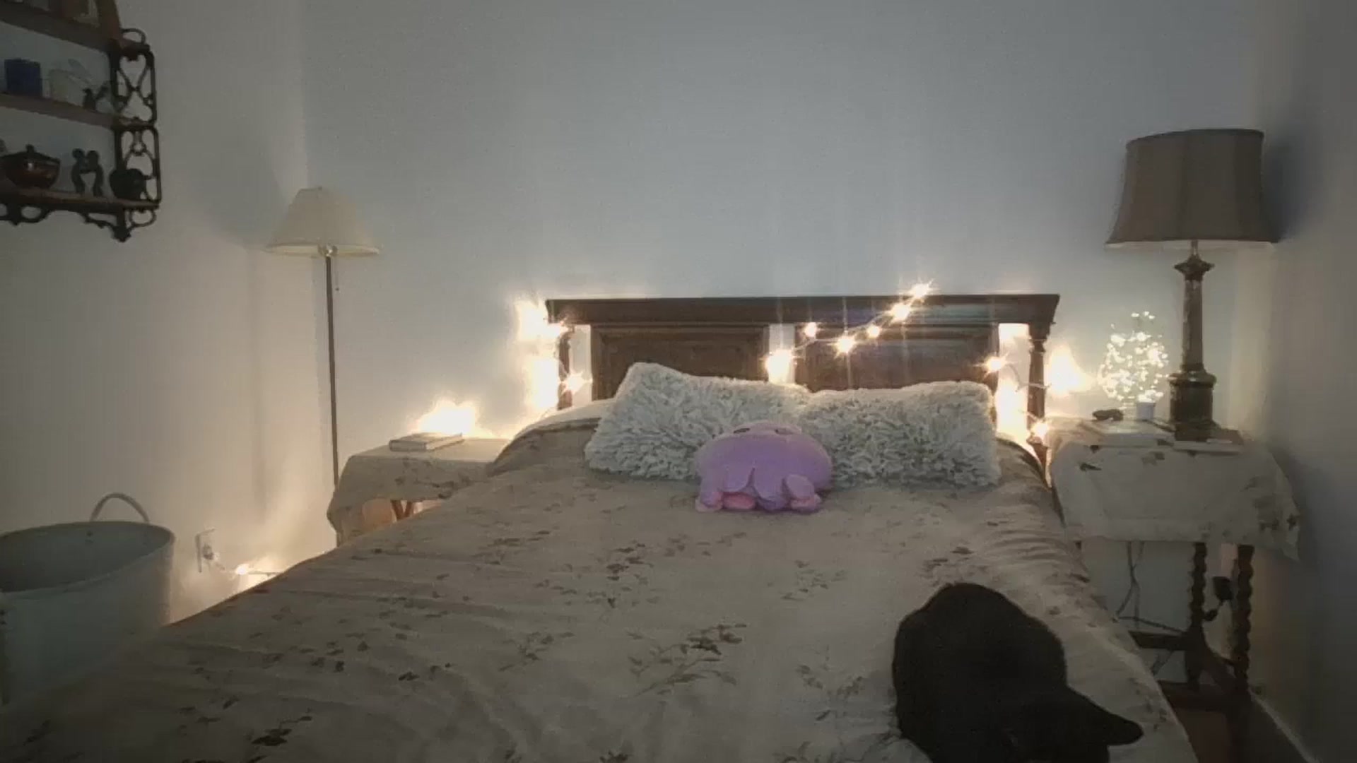 Gallery image thumbnail from Winxzyyy's myfreecams stream on, 01/28/2024, 04:55 image 5 of 20