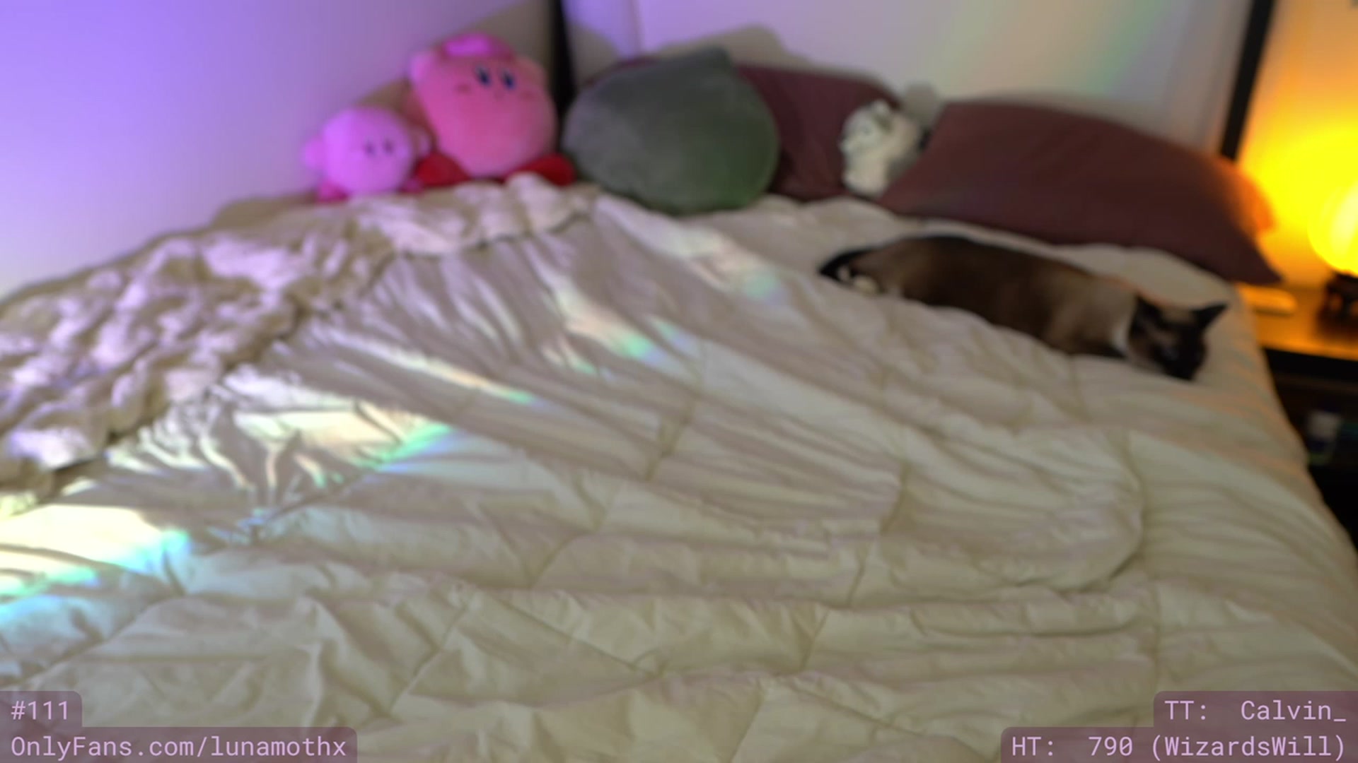 Gallery image thumbnail from Wizard's myfreecams stream on, 11/15/2022, 10:38 image 2 of 20