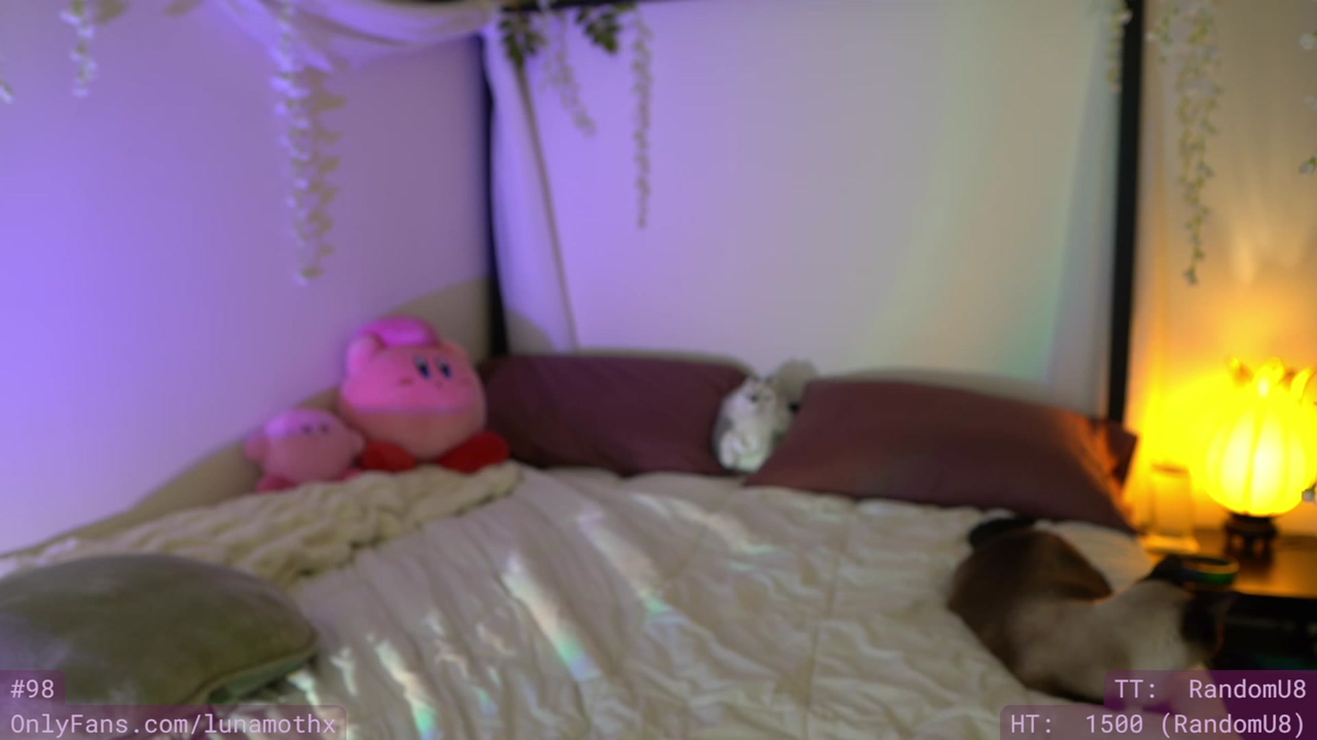 Gallery image thumbnail from Wizard's myfreecams stream on, 11/16/2022, 09:59 image 1 of 20