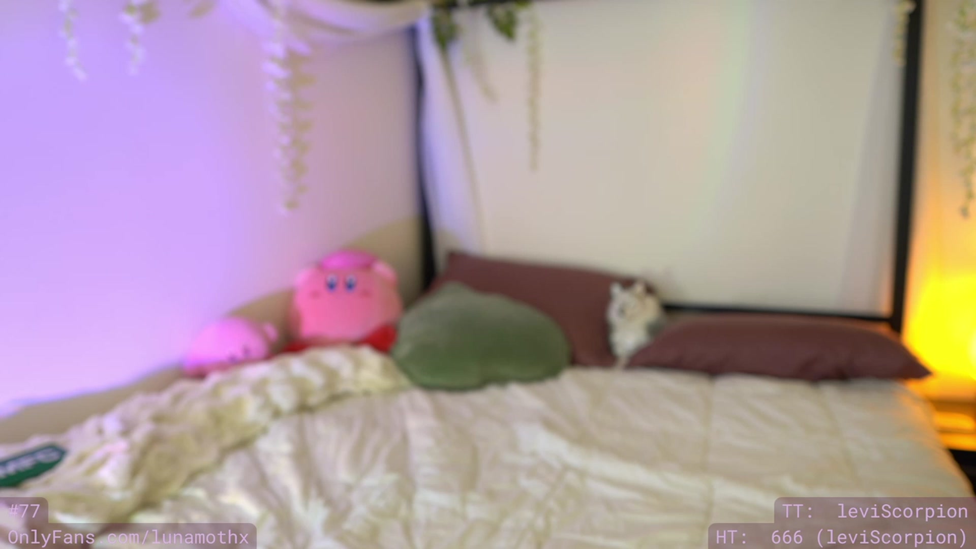 Gallery image thumbnail from Wizard's myfreecams stream on, 11/23/2022, 09:35 image 9 of 20