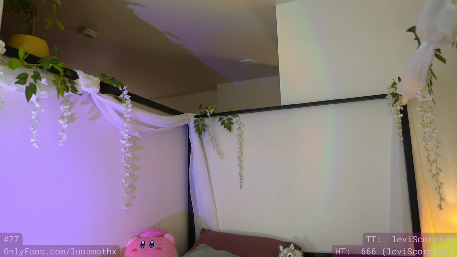Gallery image thumbnail from Wizard's myfreecams stream on, 11/23/2022, 09:35 image 13 of 20
