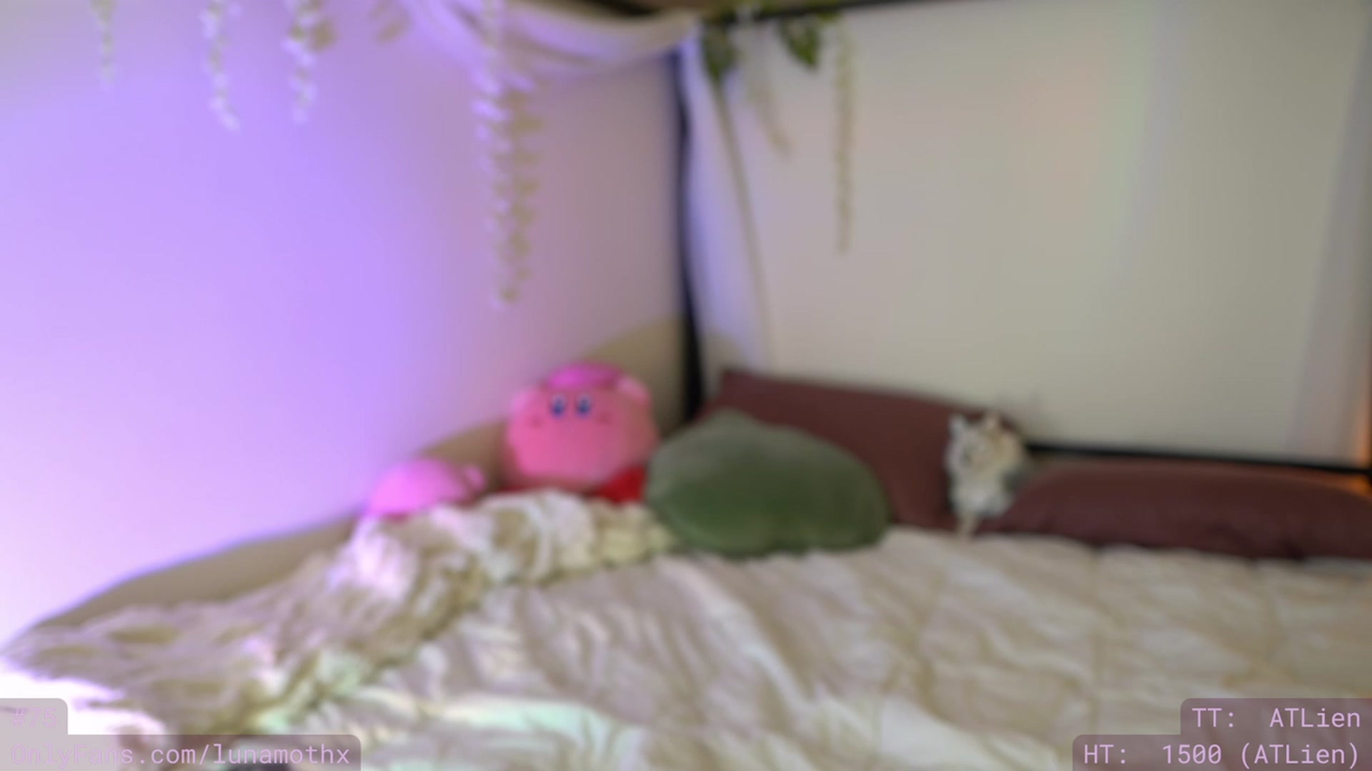 Gallery image thumbnail from Wizard's myfreecams stream on, 11/23/2022, 11:25 image 5 of 20