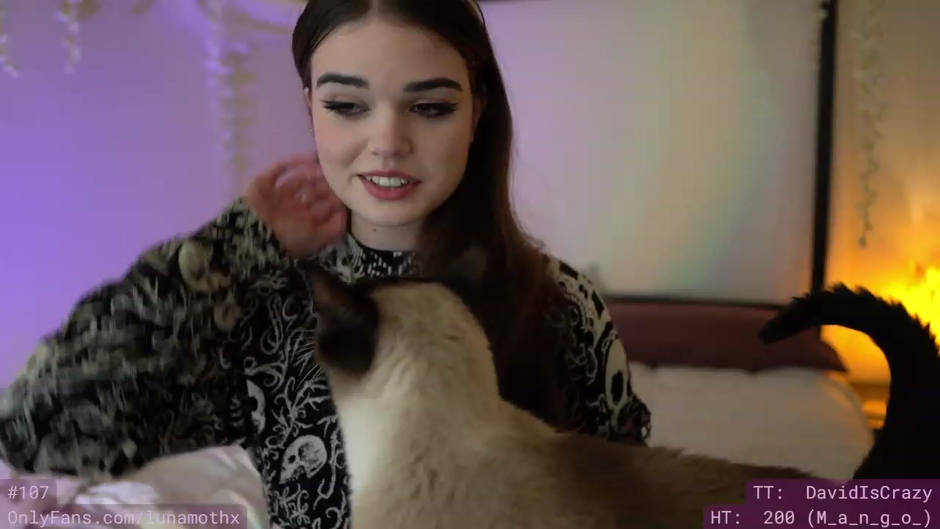 Gallery image thumbnail from Wizard's myfreecams stream on, 11/29/2022, 09:46 image 7 of 20