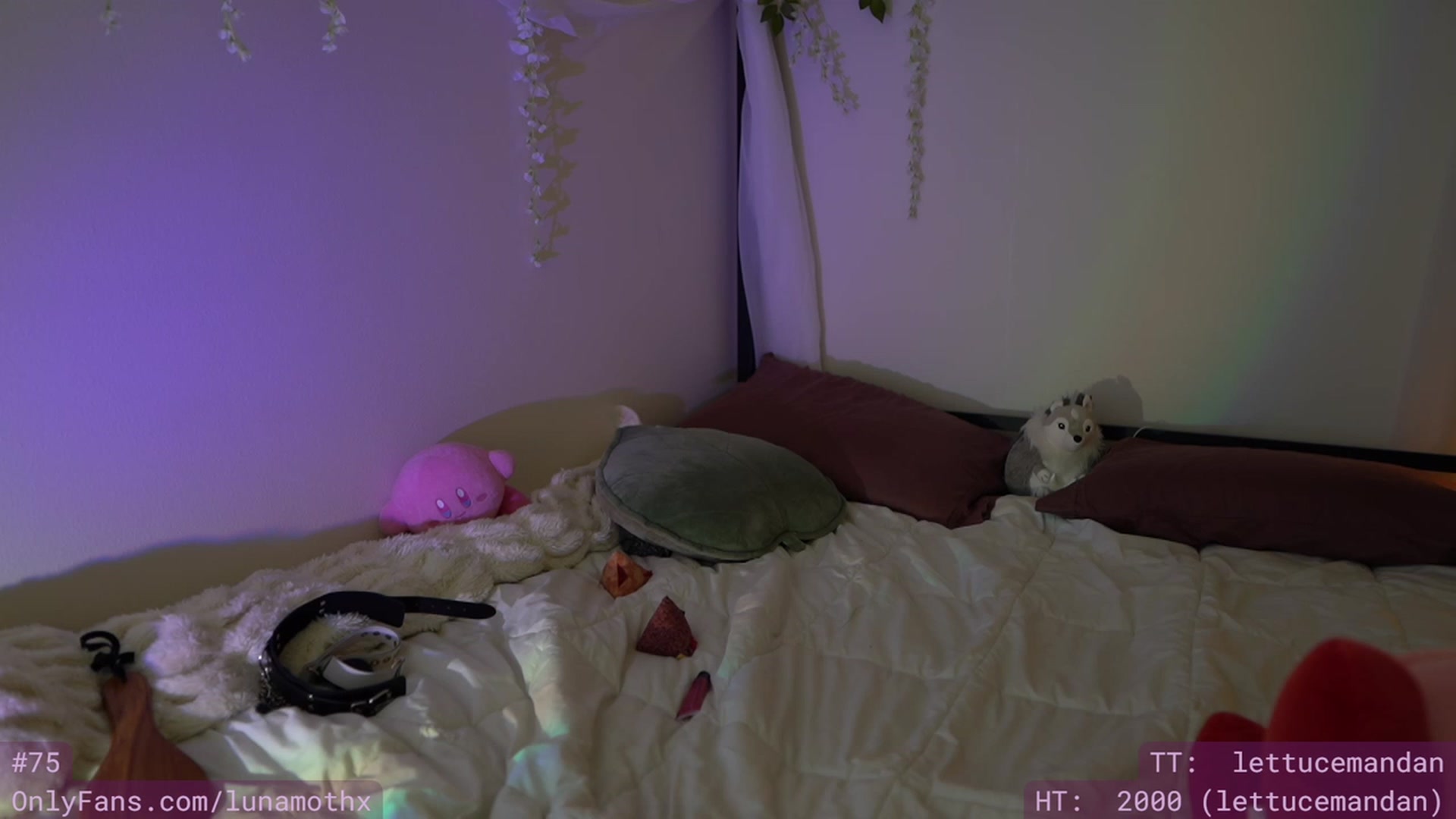 Gallery image thumbnail from Wizard's myfreecams stream on, 11/29/2022, 11:53 image 10 of 20