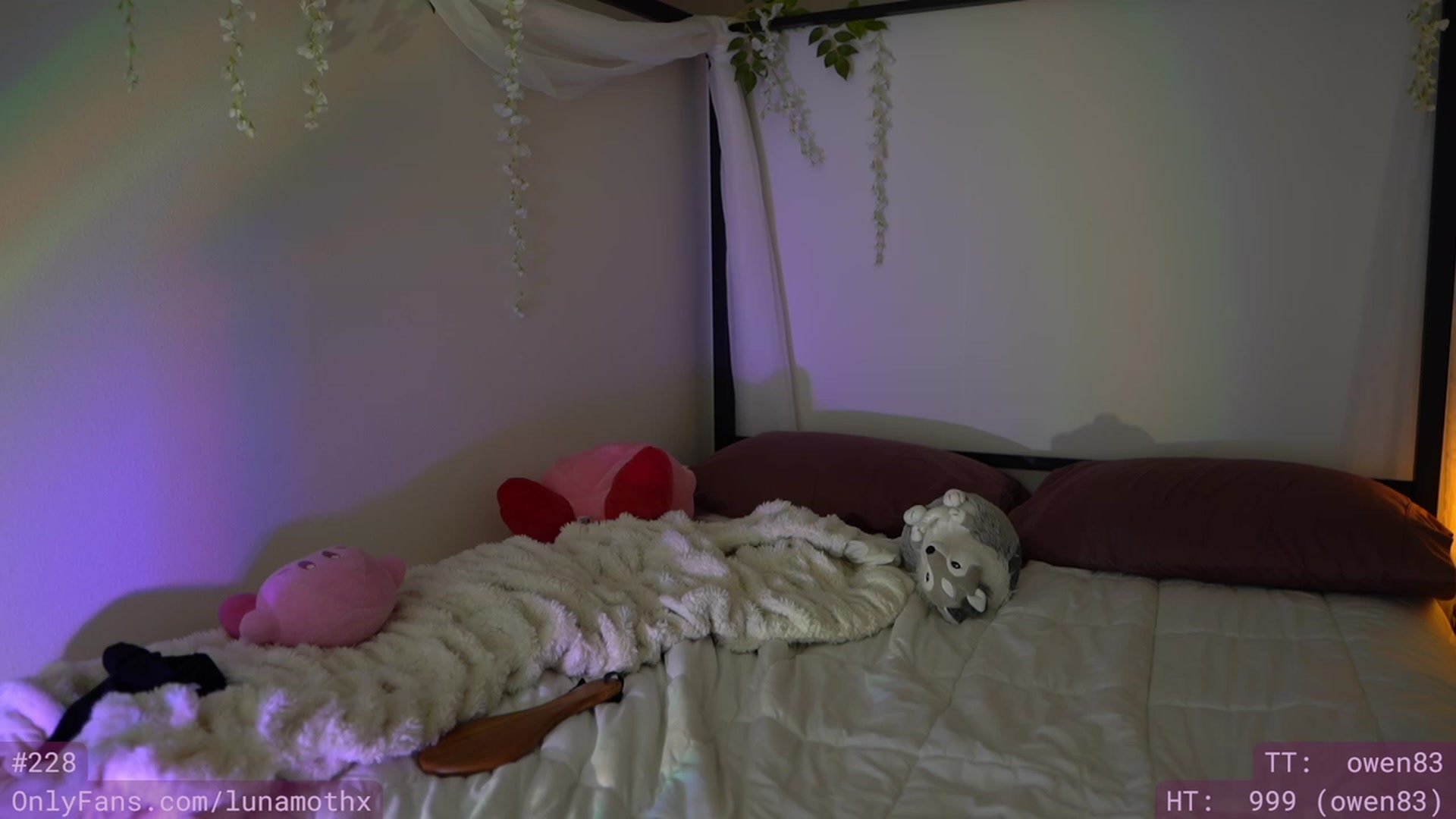 Gallery image thumbnail from Wizard's myfreecams stream on, 12/07/2022, 13:19 image 8 of 20