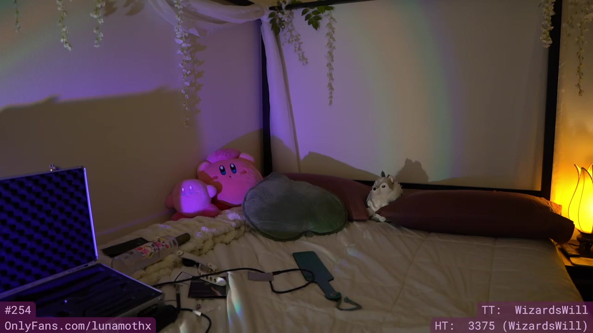 Gallery image thumbnail from Wizard's myfreecams stream on, 12/15/2022, 09:52 image 14 of 20