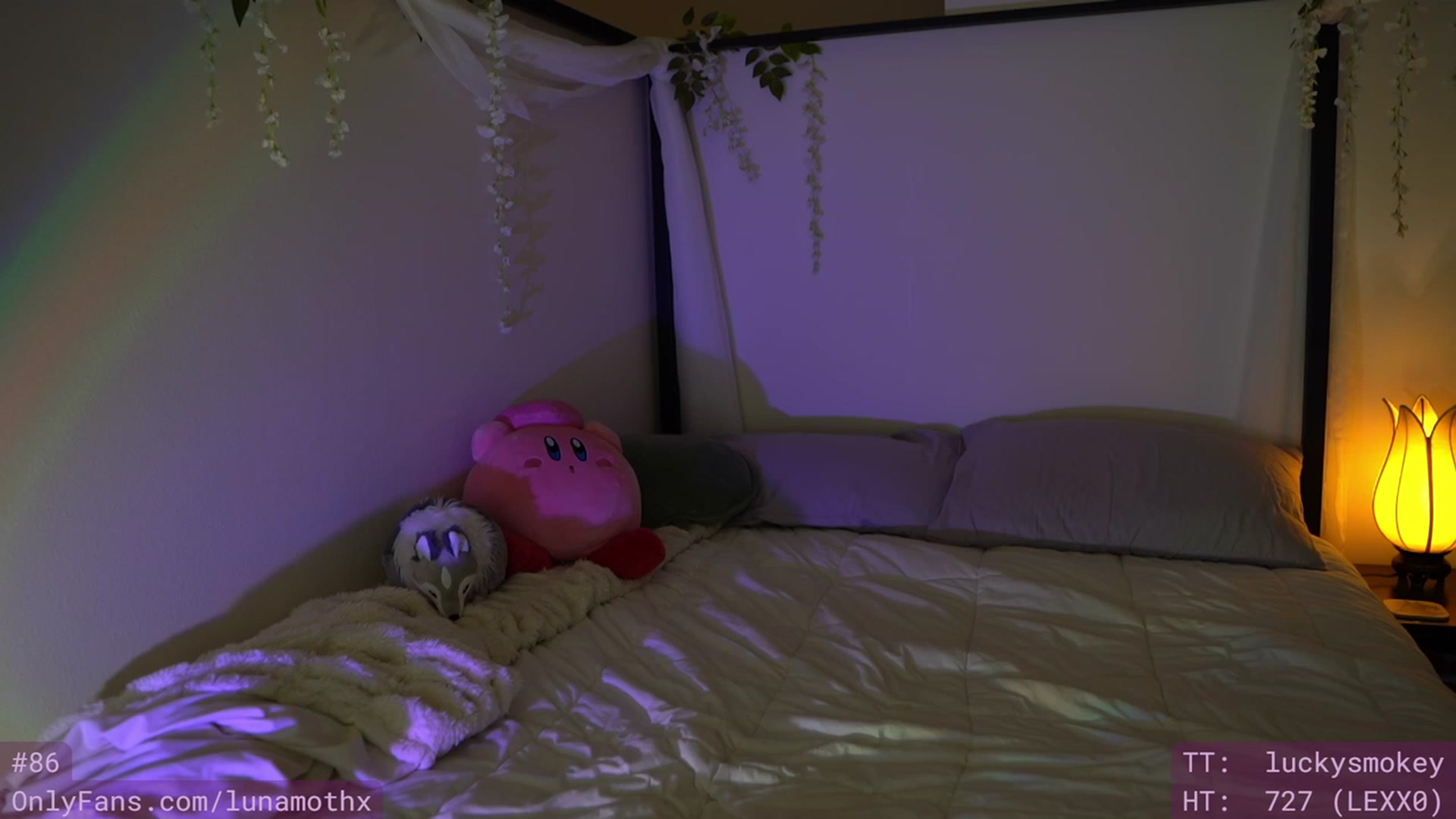 Gallery image thumbnail from Wizard's myfreecams stream on, 01/31/2023, 10:16 image 19 of 20