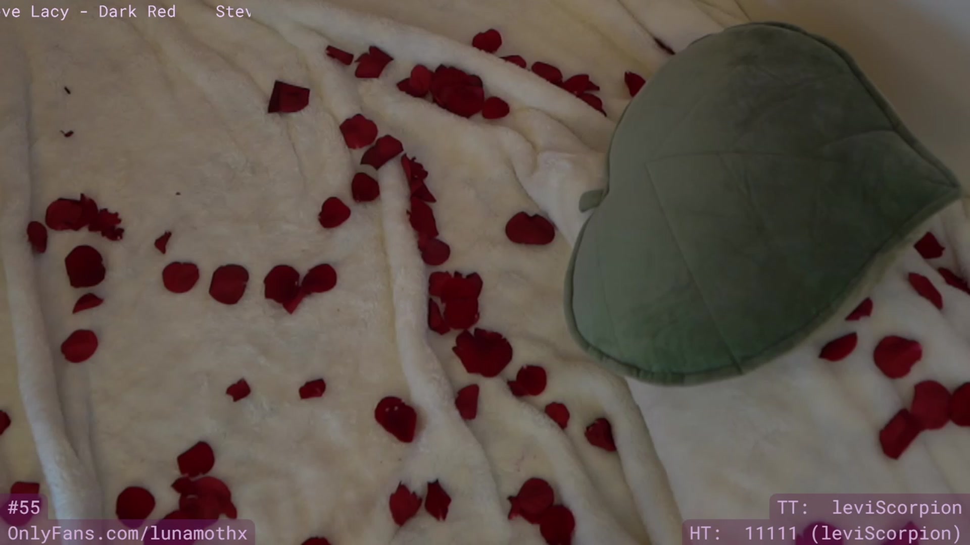 Gallery image thumbnail from Wizard's myfreecams stream on, 02/15/2023, 11:33 image 5 of 20
