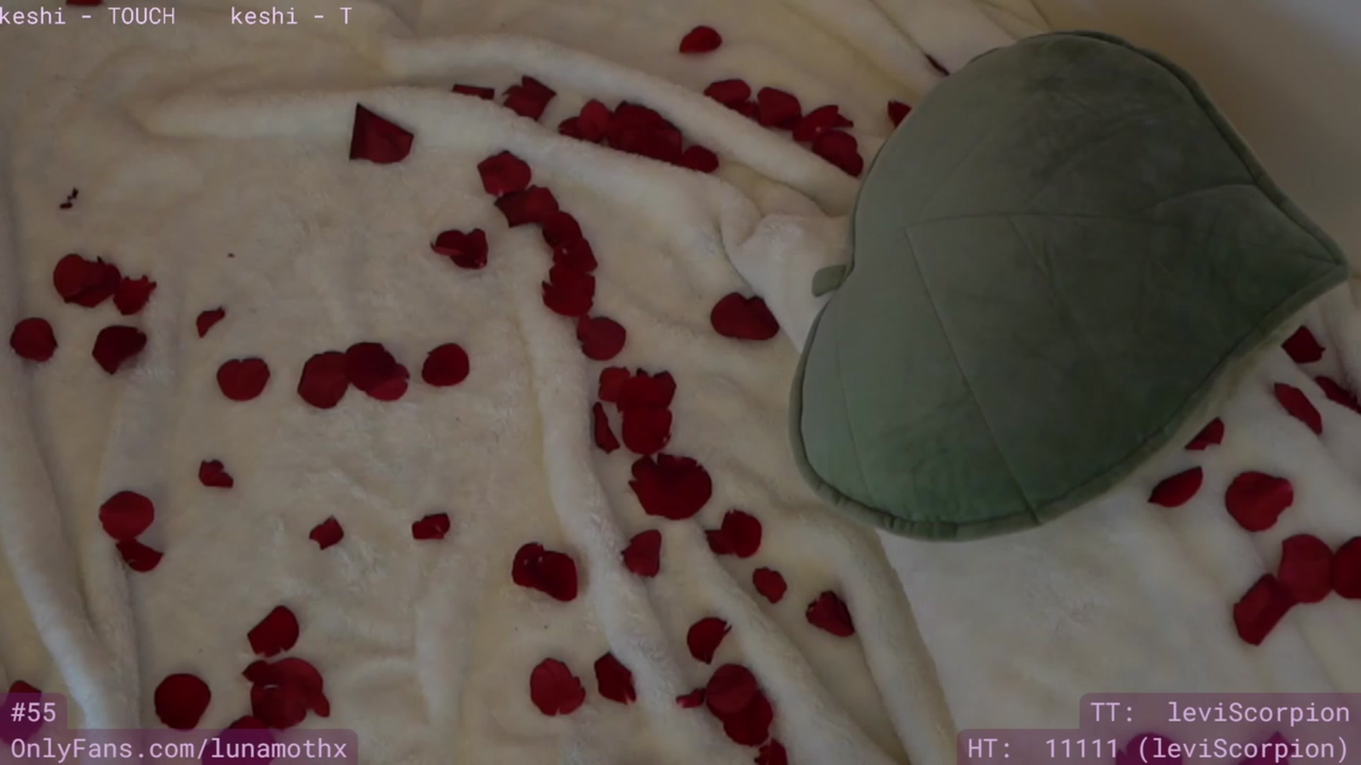 Gallery image thumbnail from Wizard's myfreecams stream on, 02/15/2023, 11:33 image 3 of 20