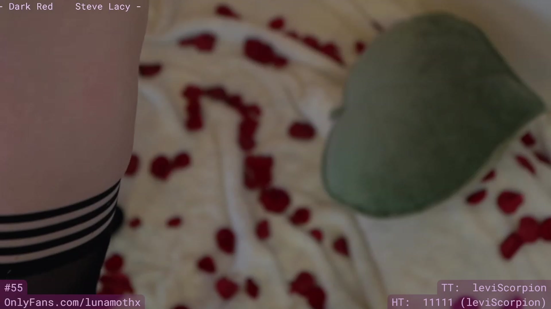 Gallery image thumbnail from Wizard's myfreecams stream on, 02/15/2023, 11:33 image 6 of 20