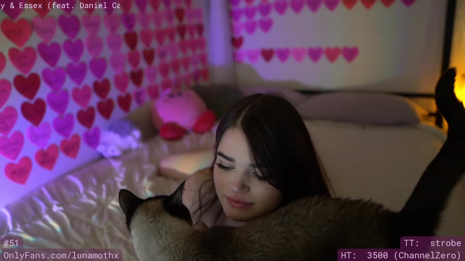 Gallery image thumbnail from Wizard's myfreecams stream on, 02/18/2023, 12:09 image 19 of 20
