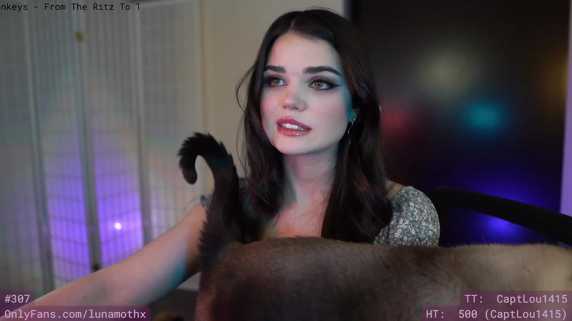 Gallery image thumbnail from Wizard's myfreecams stream on, 03/17/2023, 06:38 image 3 of 20