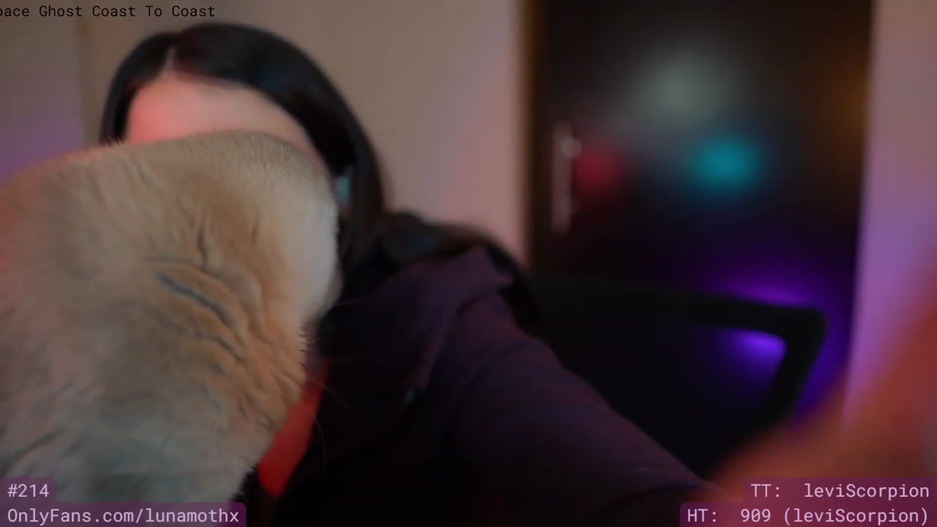 Gallery image thumbnail from Wizard's myfreecams stream on, 03/23/2023, 06:59 image 19 of 20