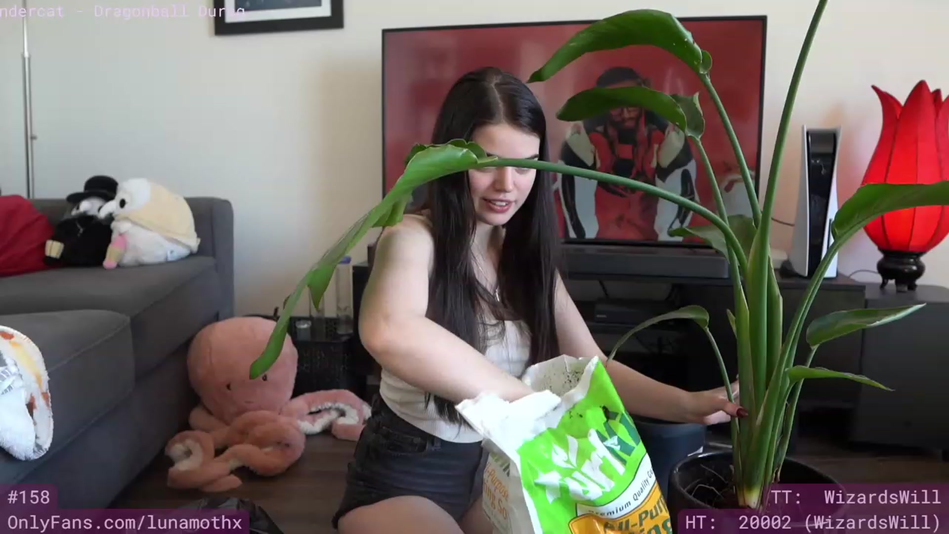 Gallery image thumbnail from Wizard's myfreecams stream on, 04/30/2023, 24:02 image 19 of 20