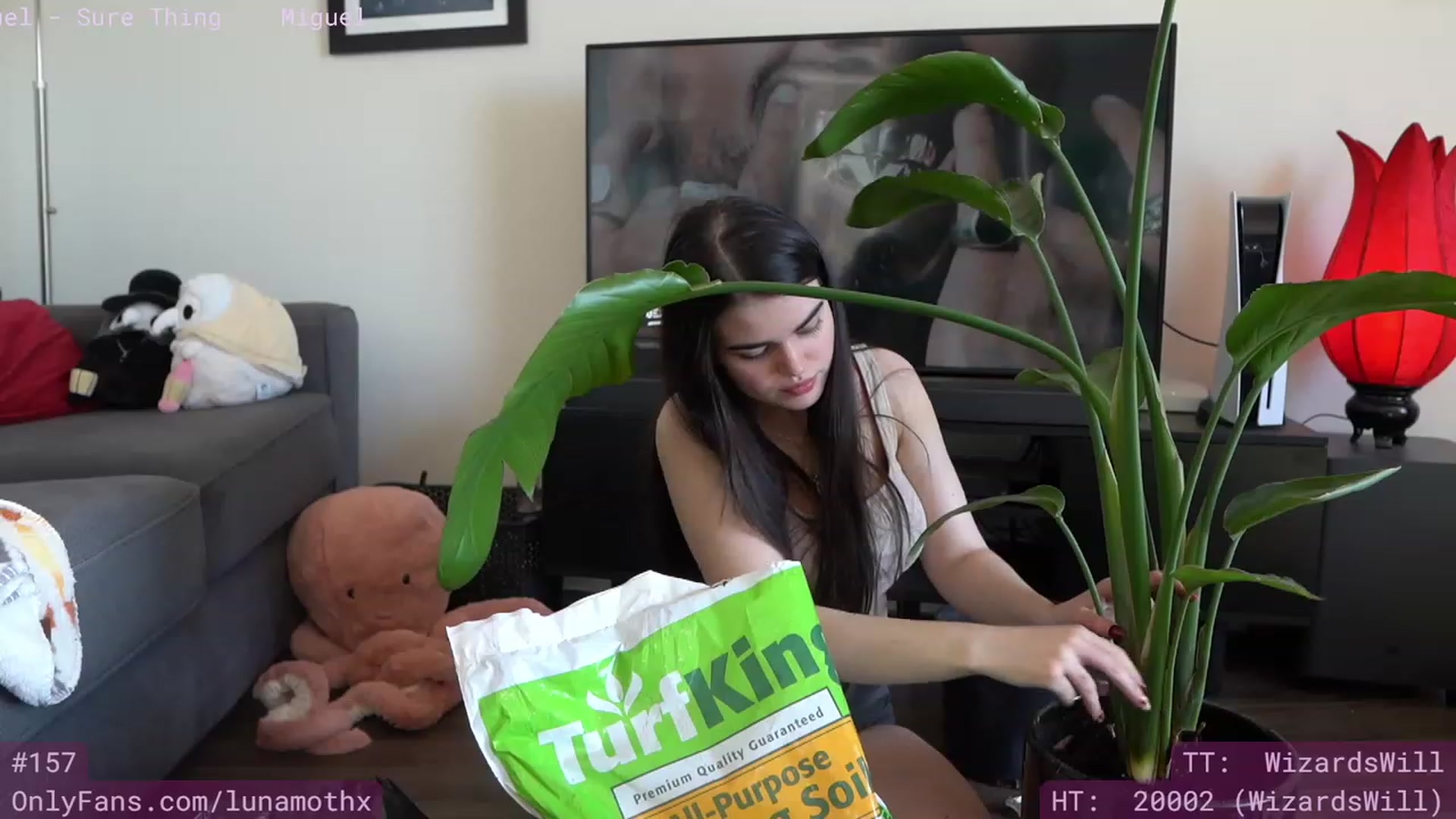 Gallery image thumbnail from Wizard's myfreecams stream on, 04/30/2023, 24:02 image 20 of 20