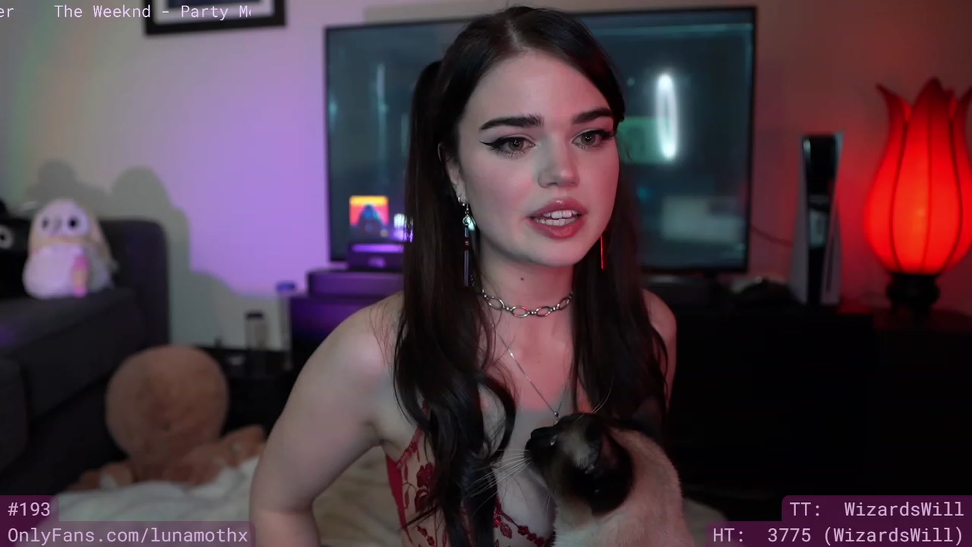 Gallery image thumbnail from Wizard's myfreecams stream on, 05/06/2023, 05:57 image 20 of 20