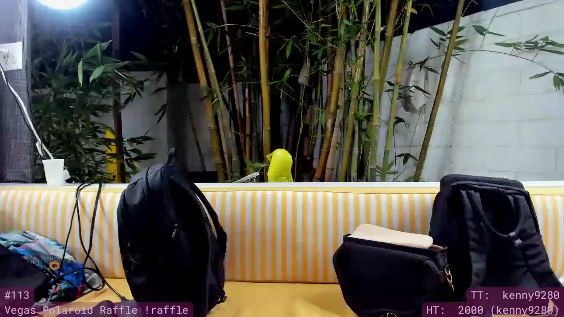 Gallery image thumbnail from Wizard's myfreecams stream on, 05/23/2023, 06:46 image 6 of 20