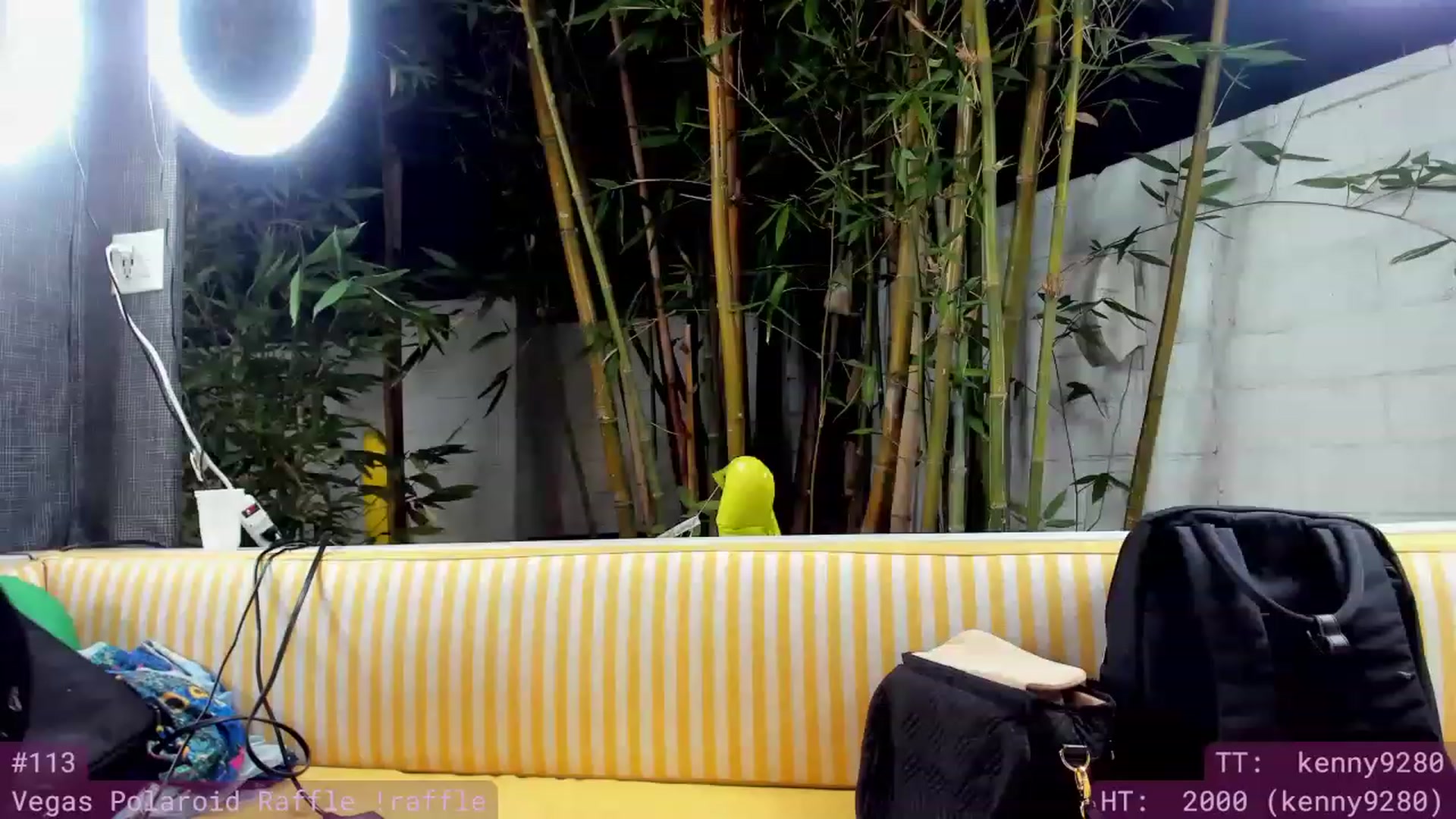 Gallery image thumbnail from Wizard's myfreecams stream on, 05/23/2023, 06:46 image 1 of 20