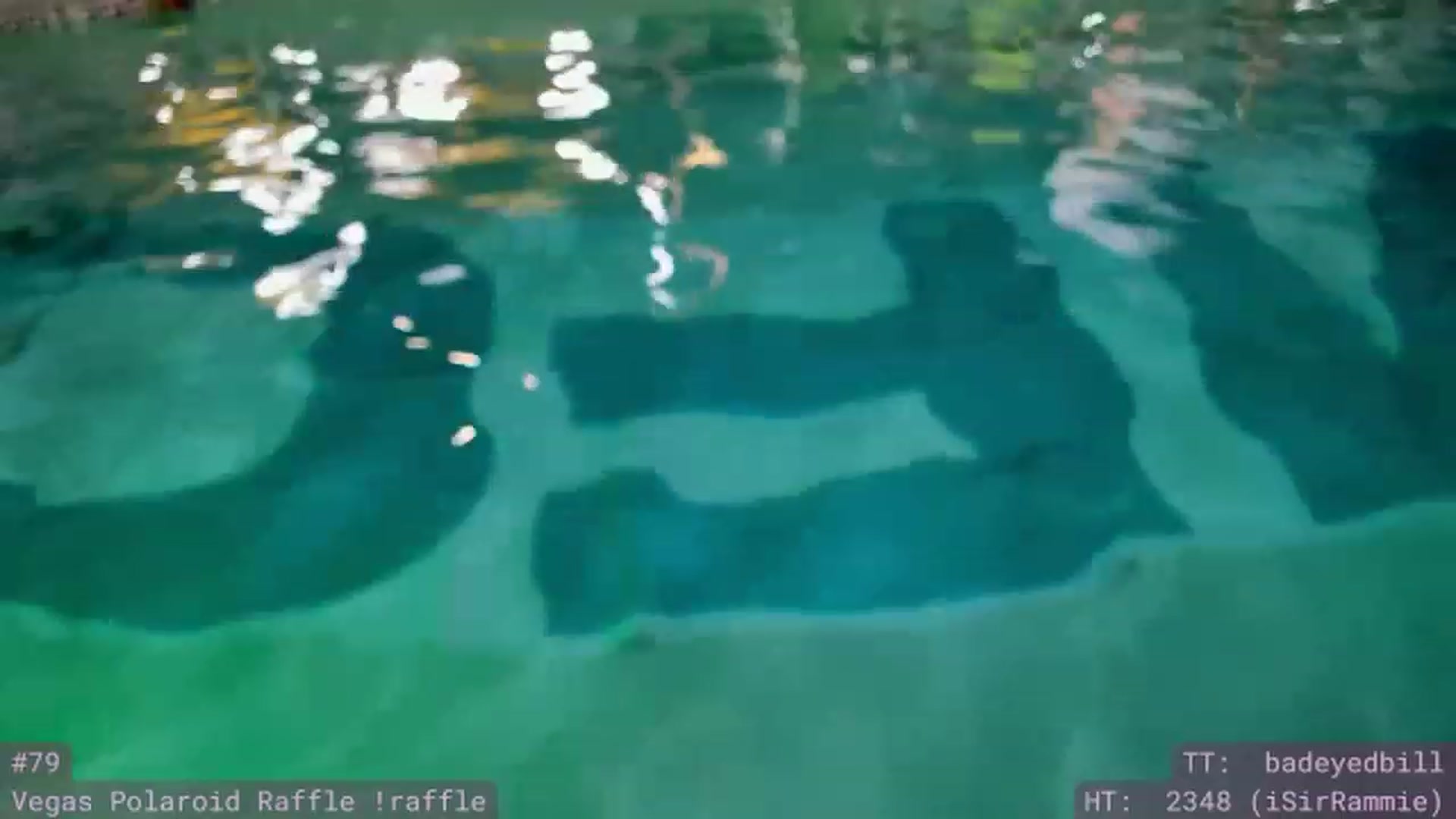 Gallery image thumbnail from Wizard's myfreecams stream on, 05/24/2023, 10:39 image 19 of 20