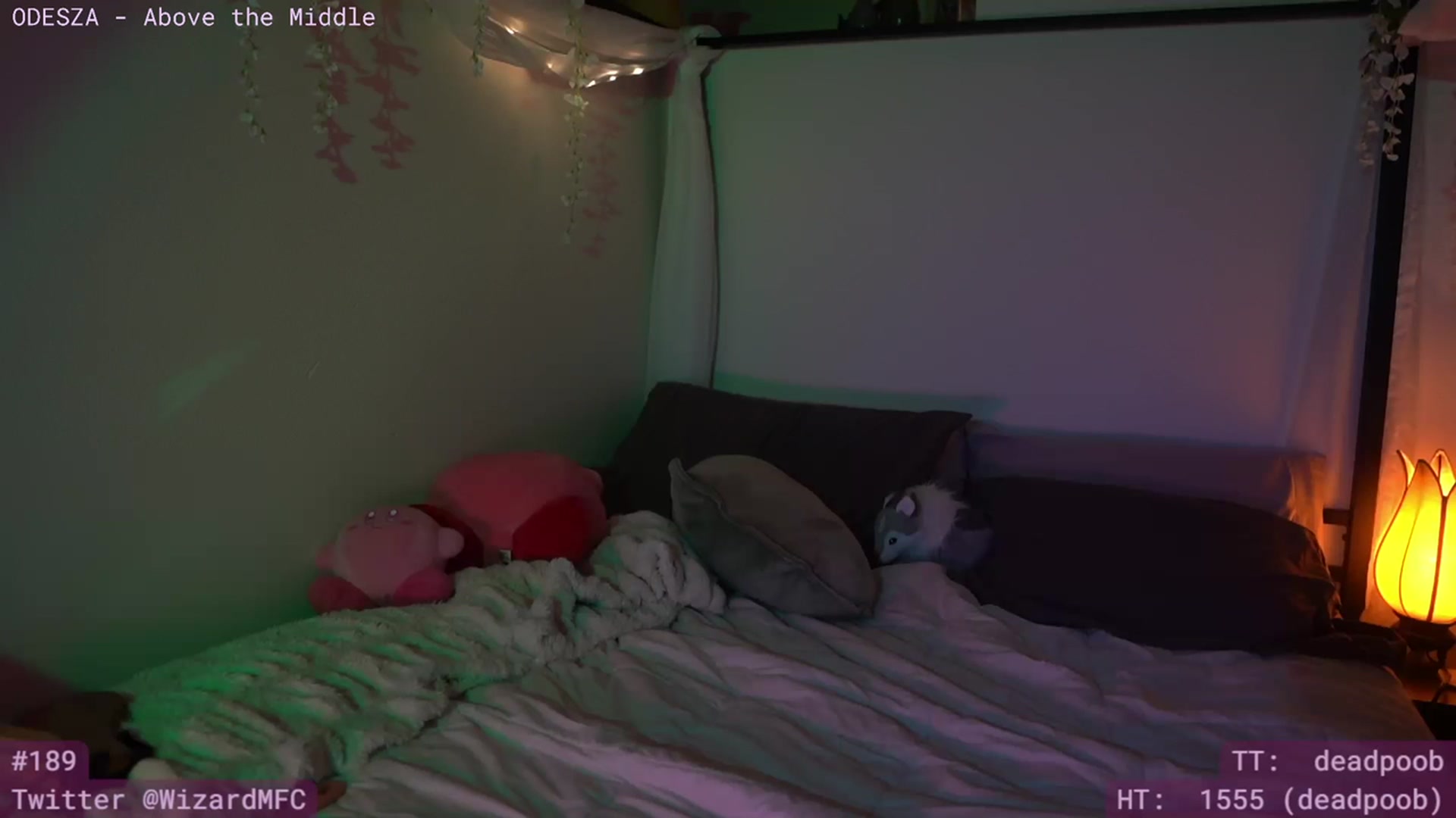 Gallery image thumbnail from Wizard's myfreecams stream on, 03/28/2024, 11:19 image 10 of 20