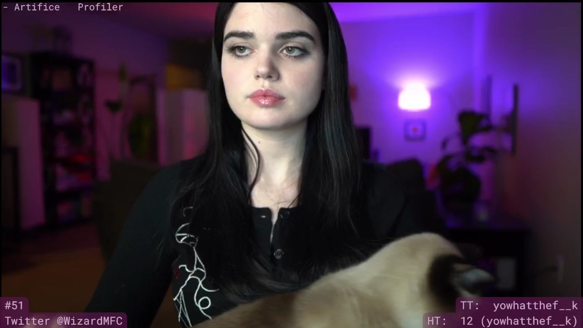 Gallery image thumbnail from Wizard's myfreecams stream on, 01/31/2025, 07:55 image 1 of 20