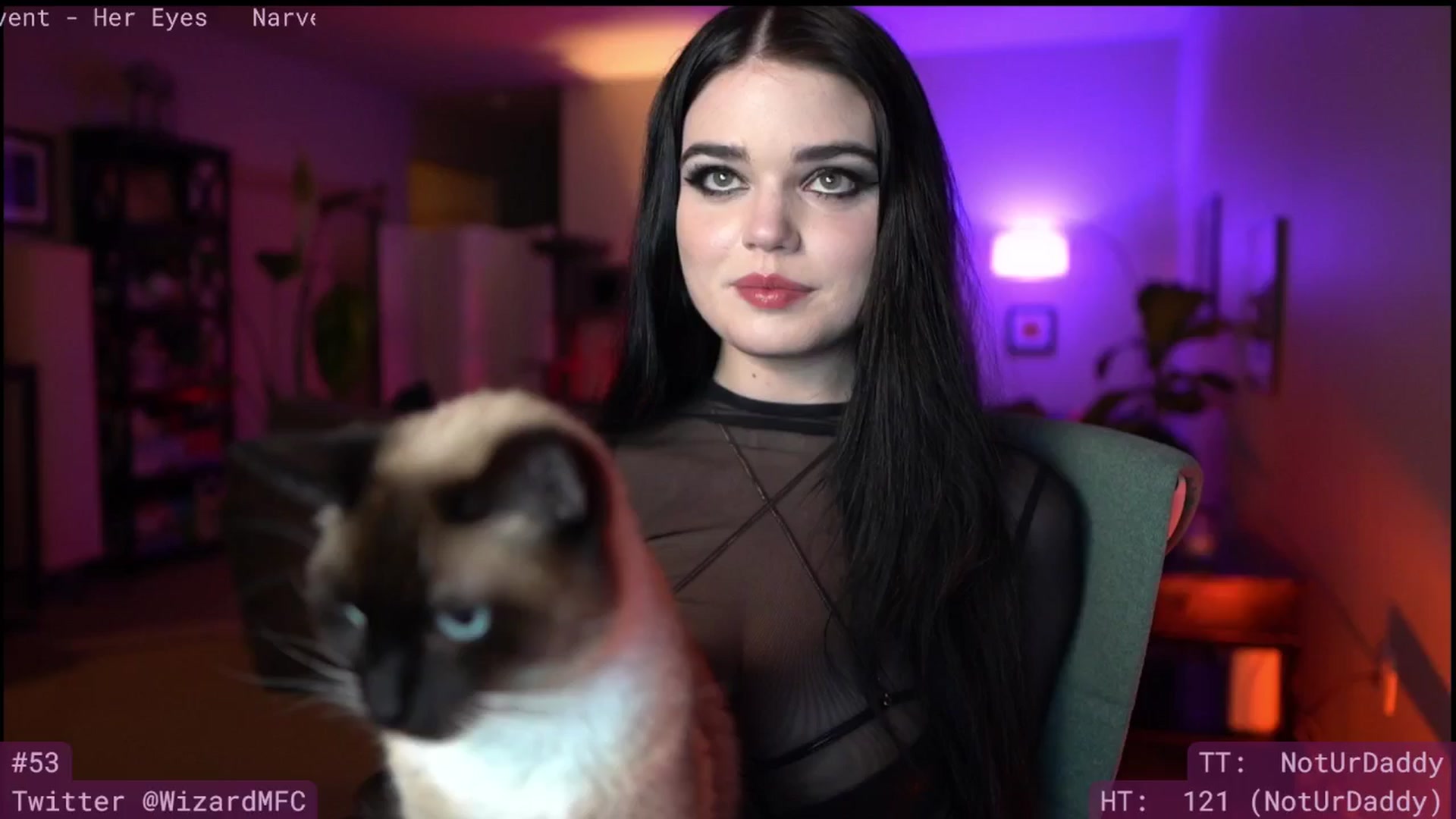 Gallery image thumbnail from Wizard's myfreecams stream on, 02/01/2025, 08:17 image 1 of 20