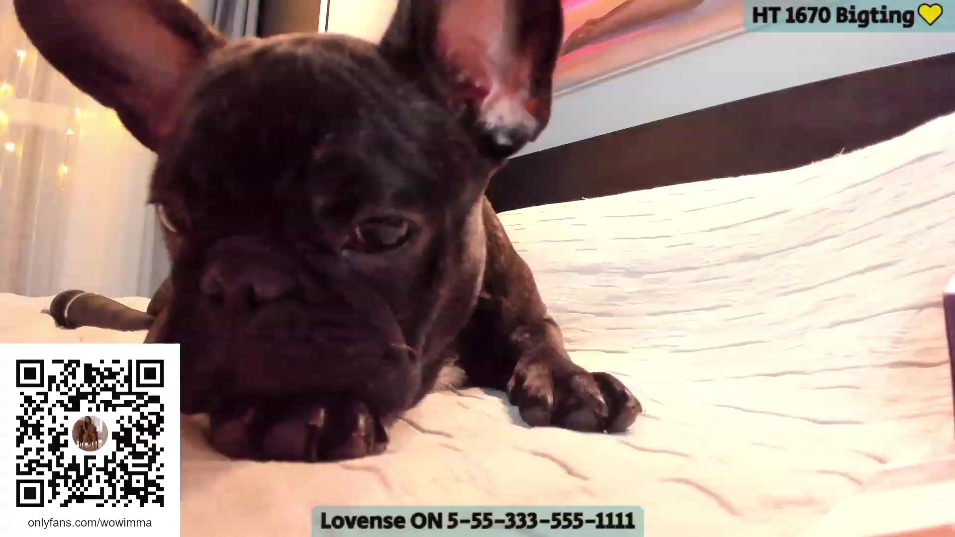 Gallery image thumbnail from WoWImmA's myfreecams stream on, 01/20/2023, 16:12 image 17 of 20