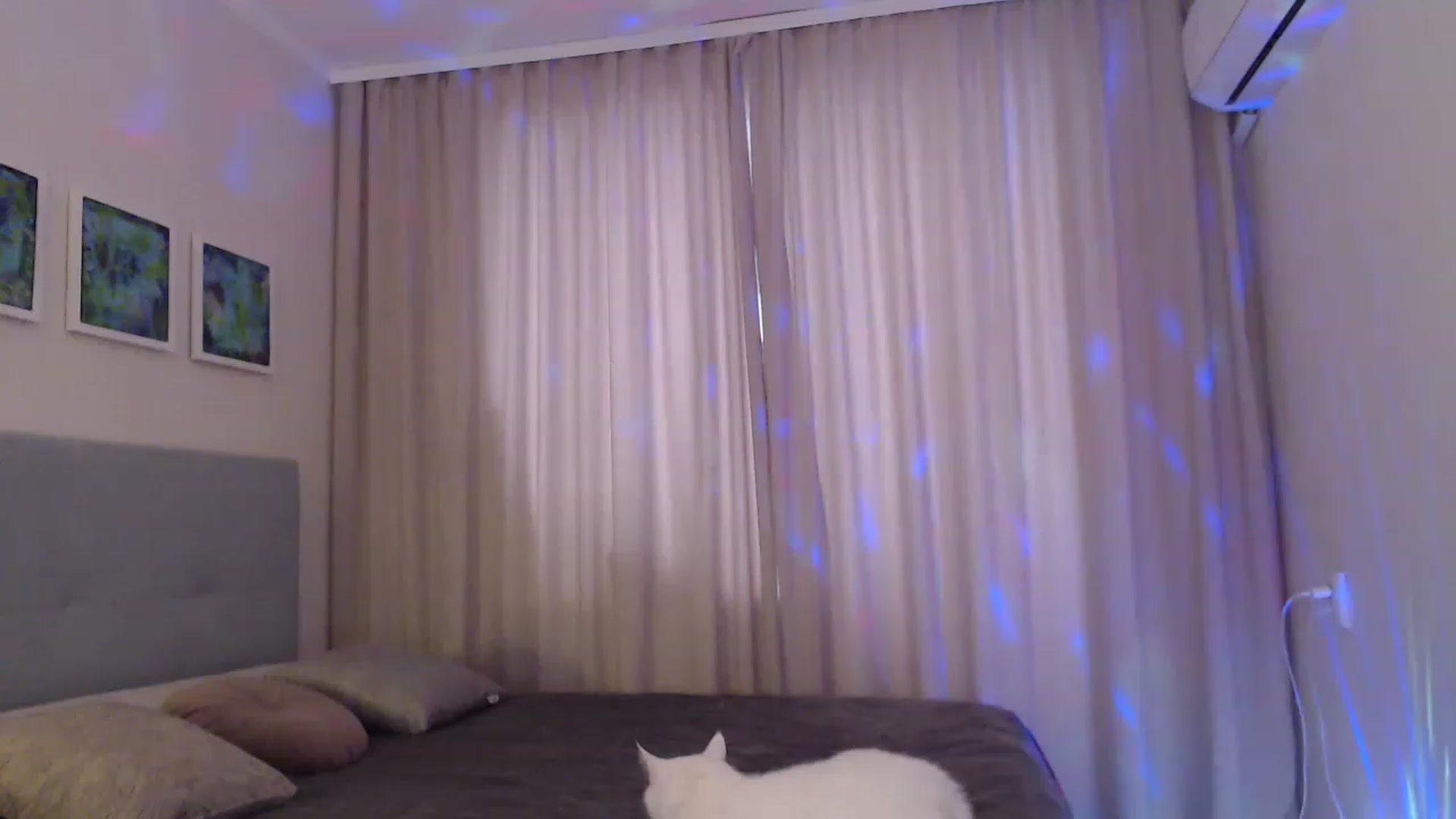 Gallery image thumbnail from Woman_Insight's myfreecams stream on, 02/15/2023, 15:41 image 1 of 20