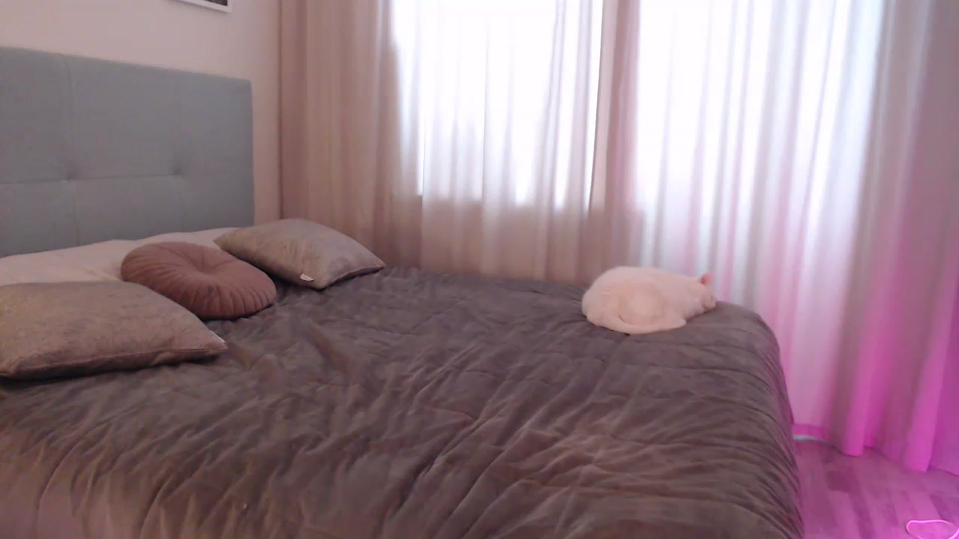 Gallery image thumbnail from Woman_Insight's myfreecams stream on, 02/26/2023, 10:39 image 15 of 20