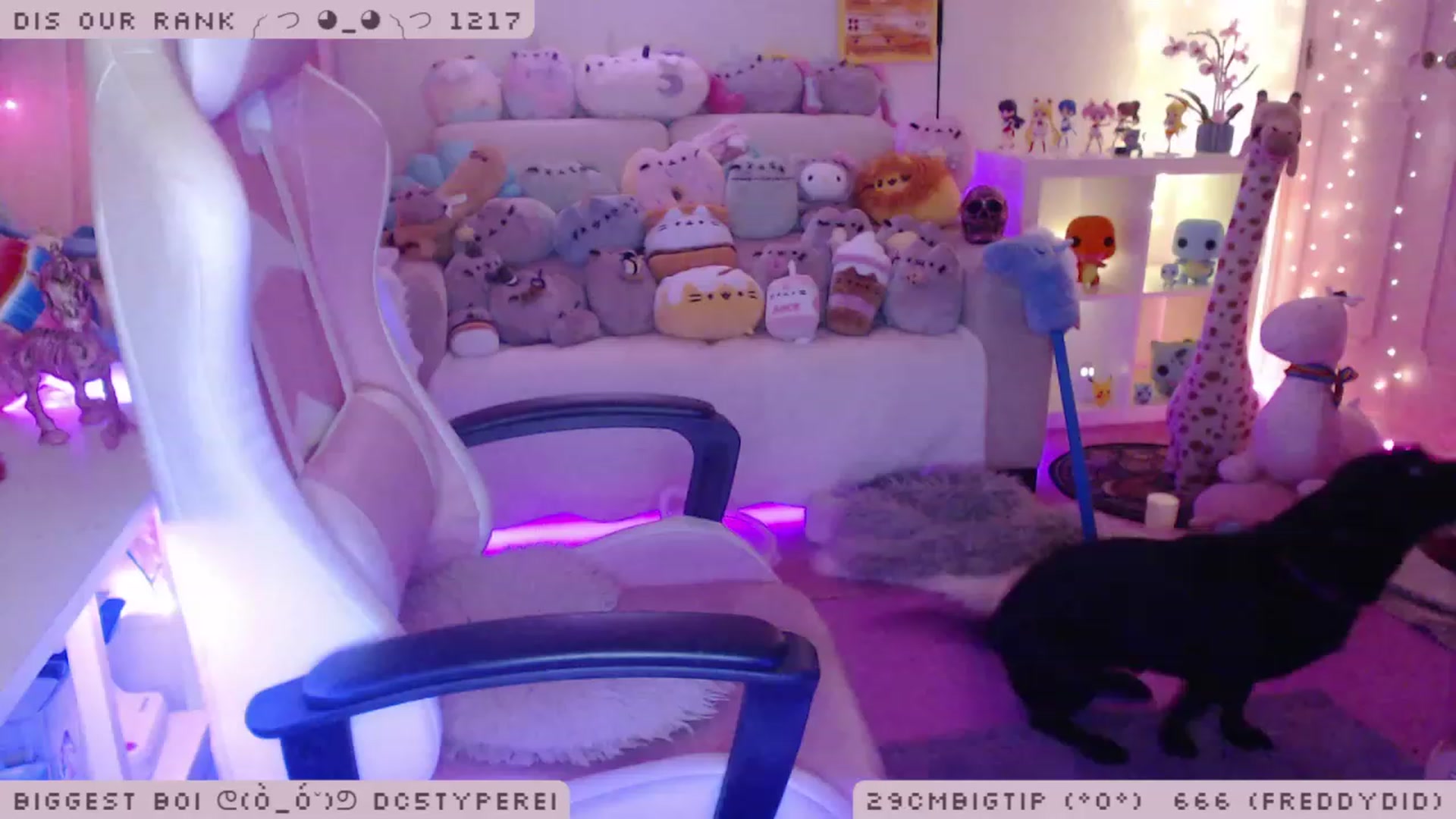 Gallery image thumbnail from WonderAna's myfreecams stream on, 11/23/2022, 02:11 image 11 of 20