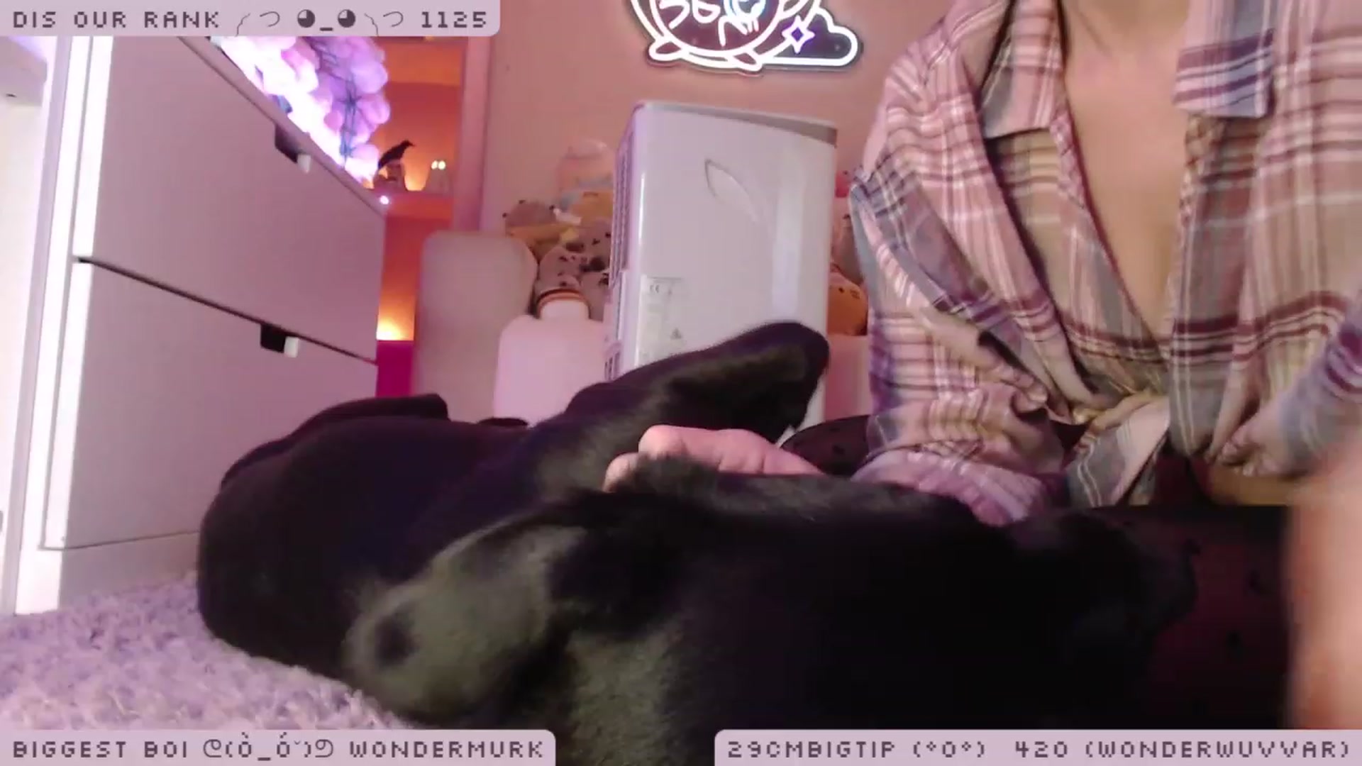 Gallery image thumbnail from WonderAna's myfreecams stream on, 11/25/2022, 24:43 image 7 of 20