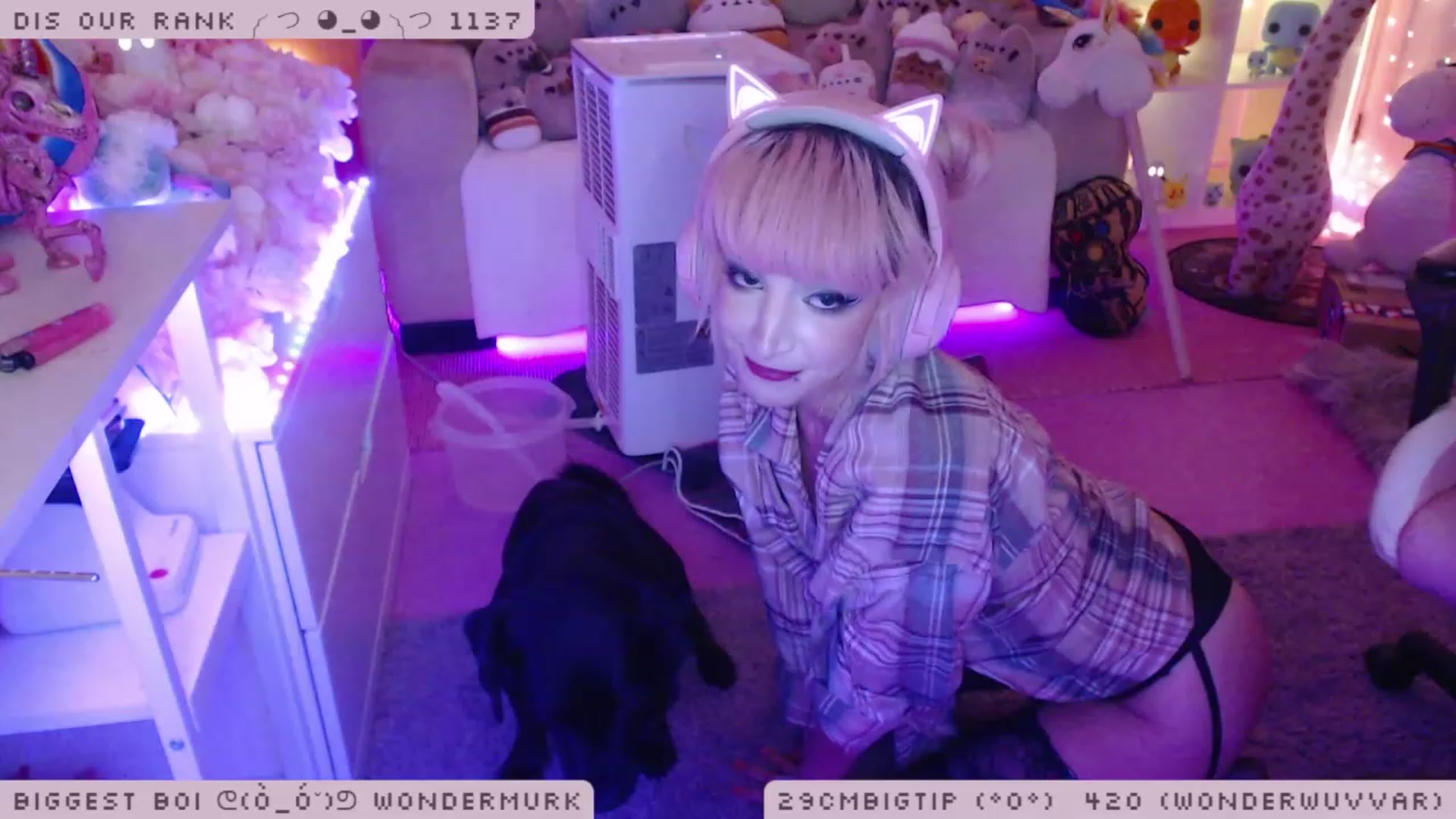 Gallery image thumbnail from WonderAna's myfreecams stream on, 11/25/2022, 02:19 image 6 of 20