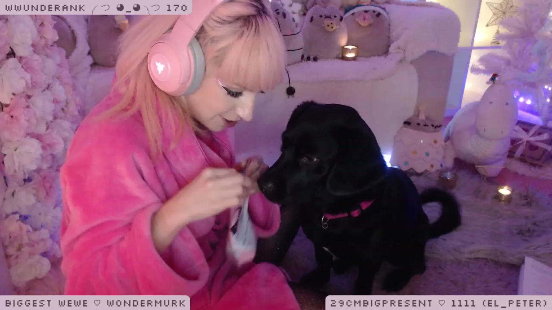 Gallery image thumbnail from WonderAna's myfreecams stream on, 01/01/2023, 06:25 image 8 of 20