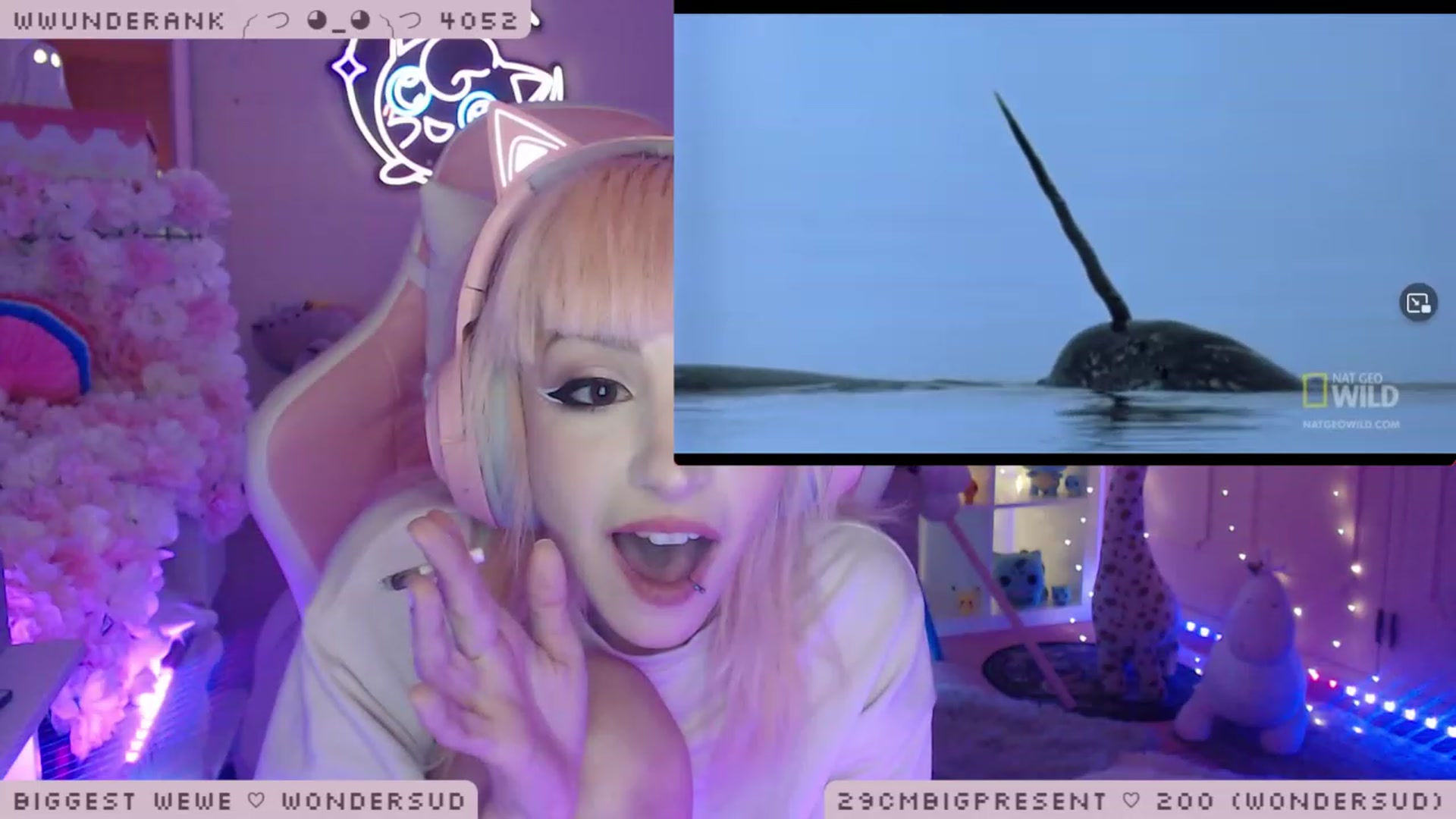 Gallery image thumbnail from WonderAna's myfreecams stream on, 01/04/2023, 24:08 image 10 of 20