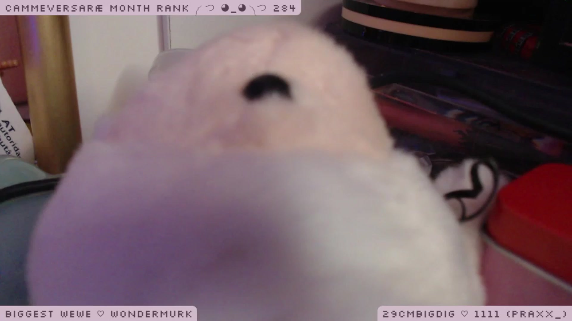Gallery image thumbnail from WonderAna's myfreecams stream on, 02/23/2023, 01:28 image 2 of 20