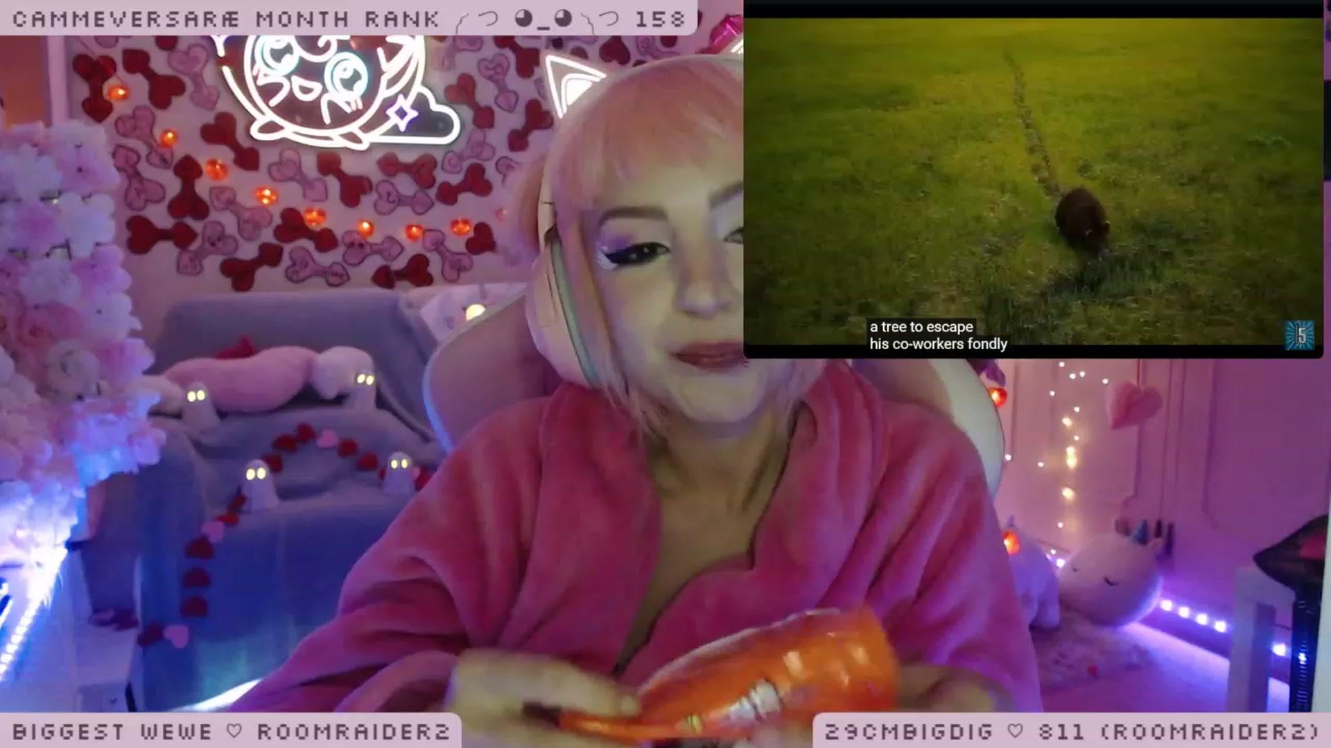 Gallery image thumbnail from WonderAna's myfreecams stream on, 02/25/2023, 04:03 image 20 of 20