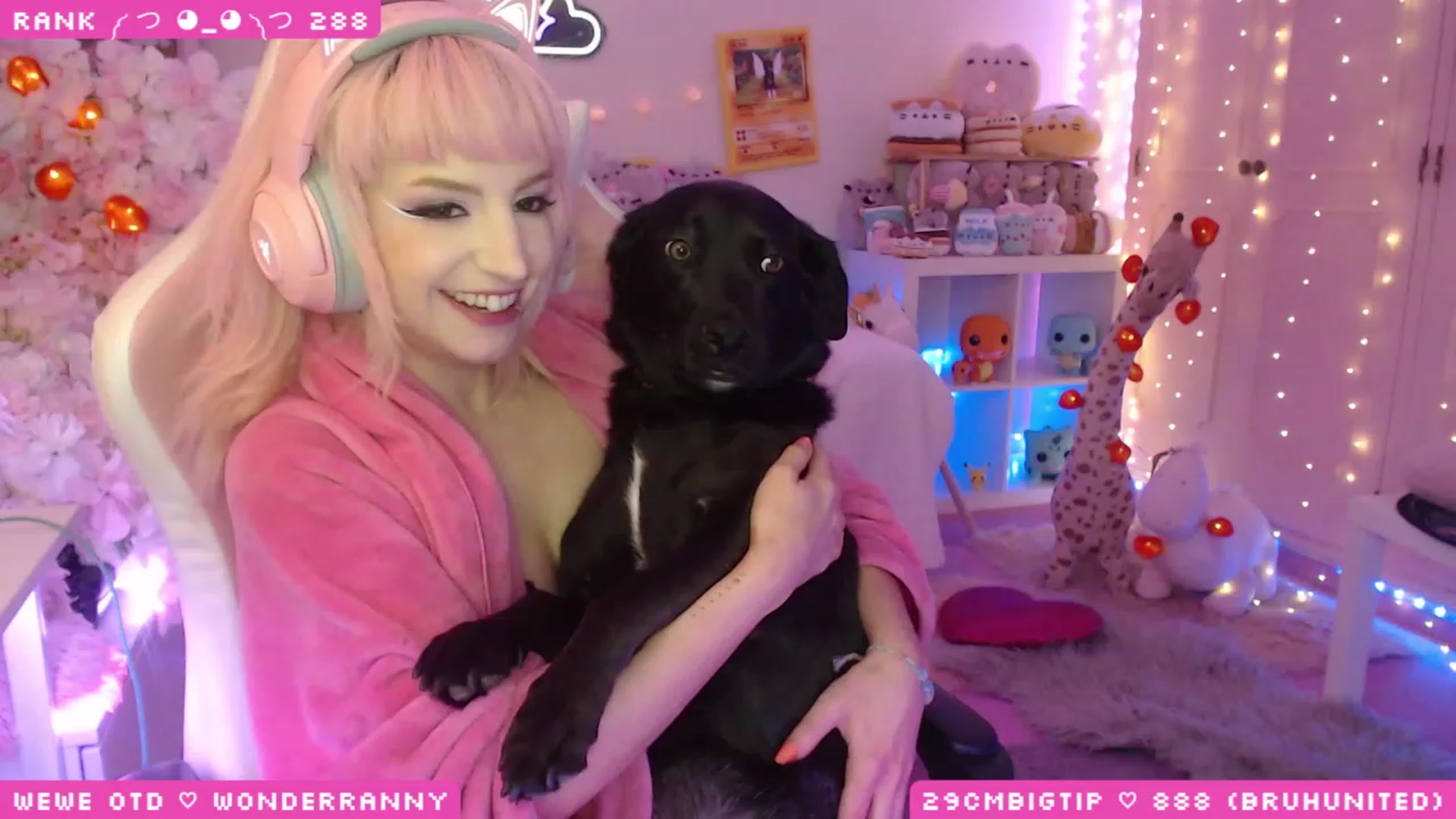 Gallery image thumbnail from WonderAna's myfreecams stream on, 04/23/2023, 01:40 image 4 of 20