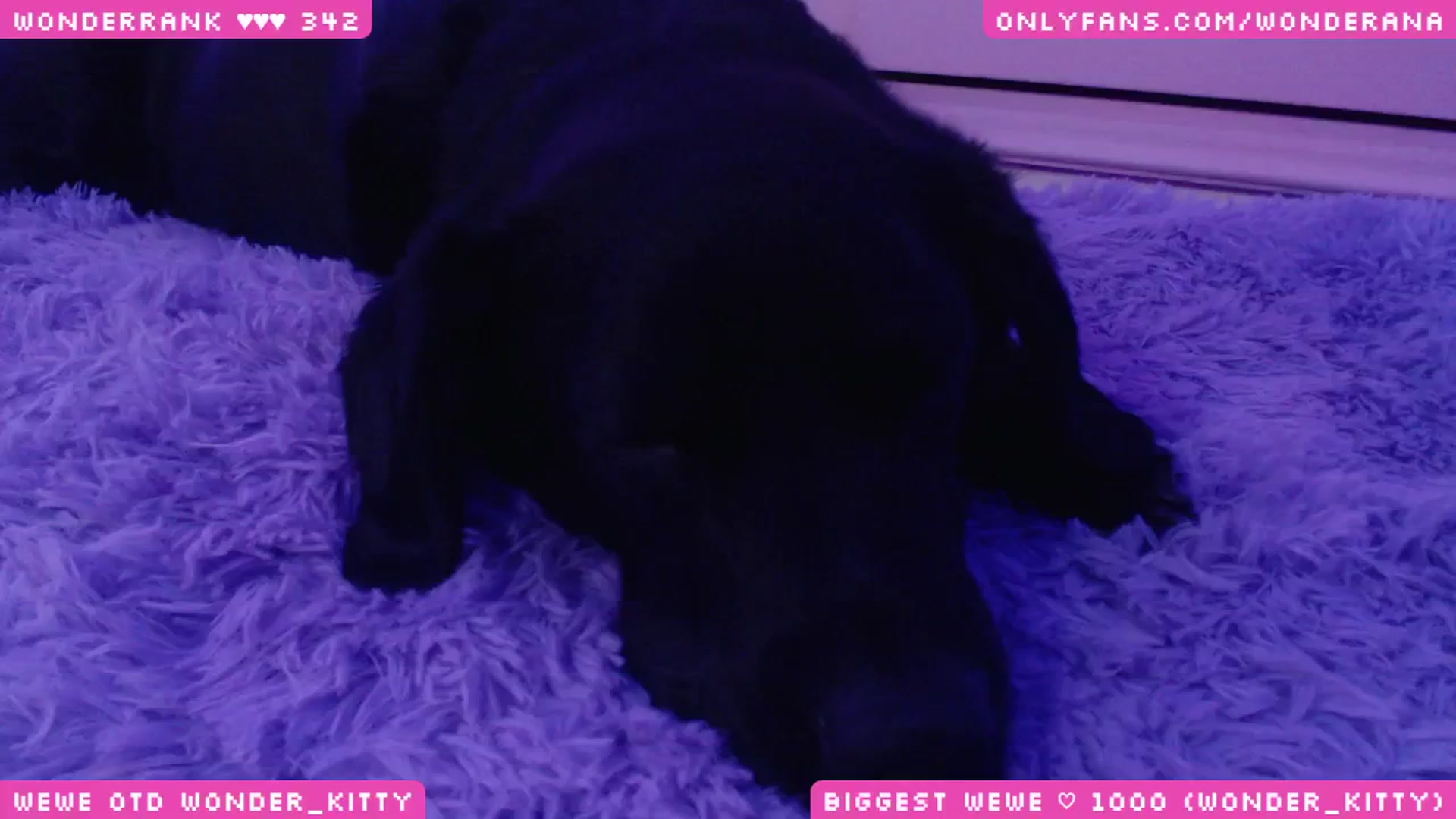 Gallery image thumbnail from WonderAna's myfreecams stream on, 06/23/2024, 04:23 image 15 of 20