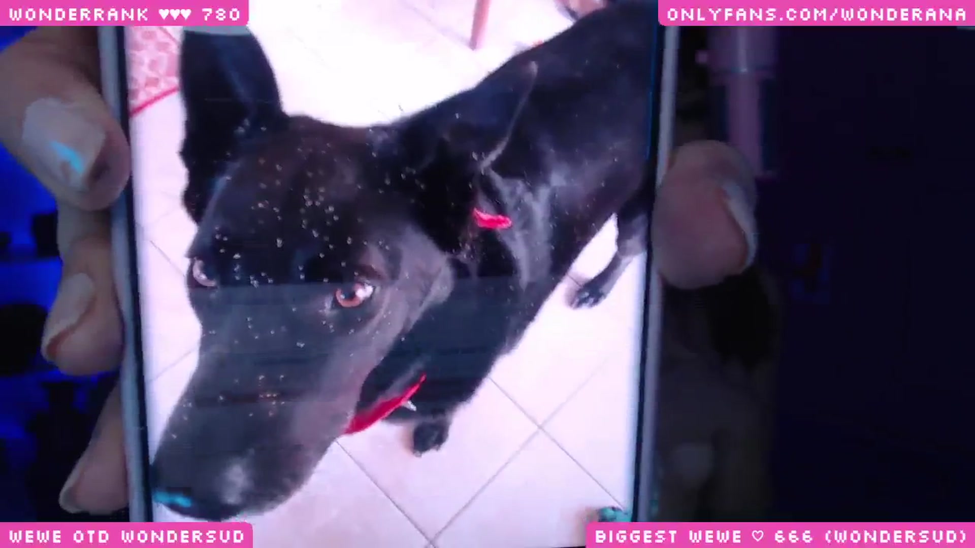 Gallery image thumbnail from WonderAna's myfreecams stream on, 08/28/2024, 03:40 image 18 of 20