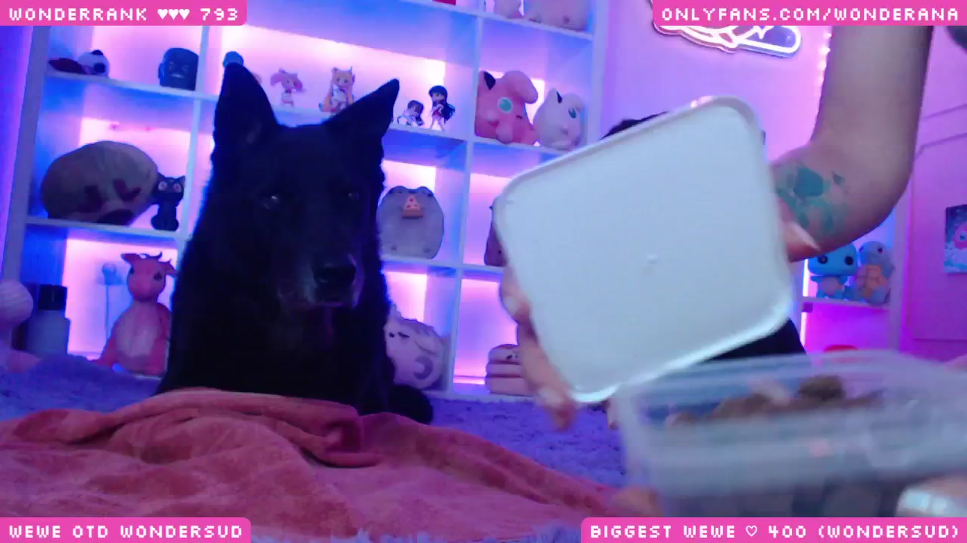 Gallery image thumbnail from WonderAna's myfreecams stream on, 08/29/2024, 24:05 image 5 of 20