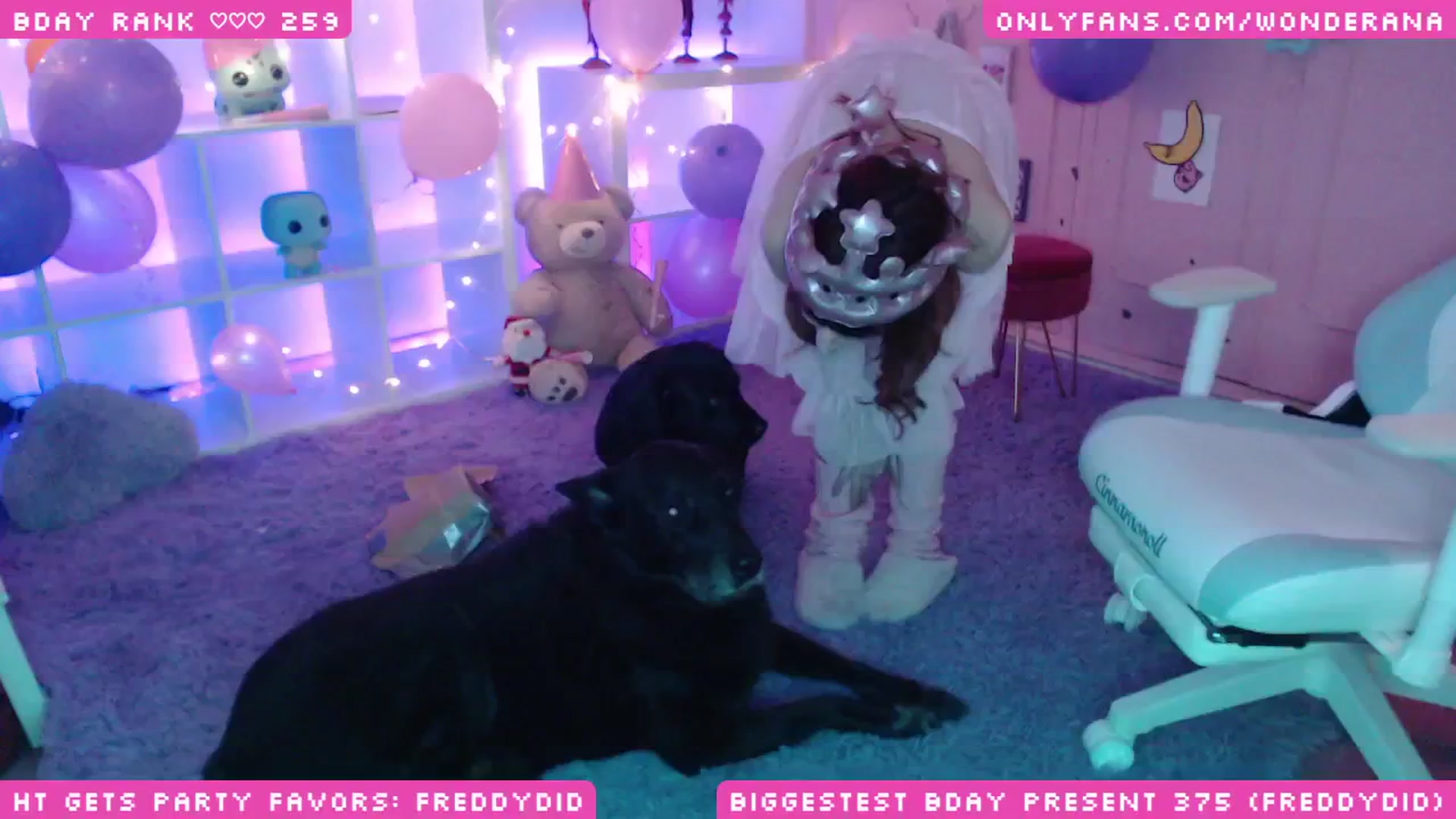 Gallery image thumbnail from WonderAna's myfreecams stream on, 12/11/2024, 06:24 image 8 of 20