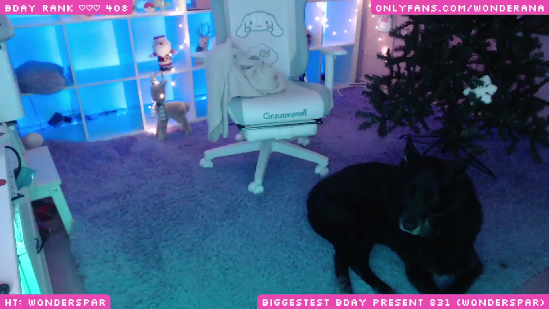 Gallery image thumbnail from WonderAna's myfreecams stream on, 12/20/2024, 04:53 image 10 of 20