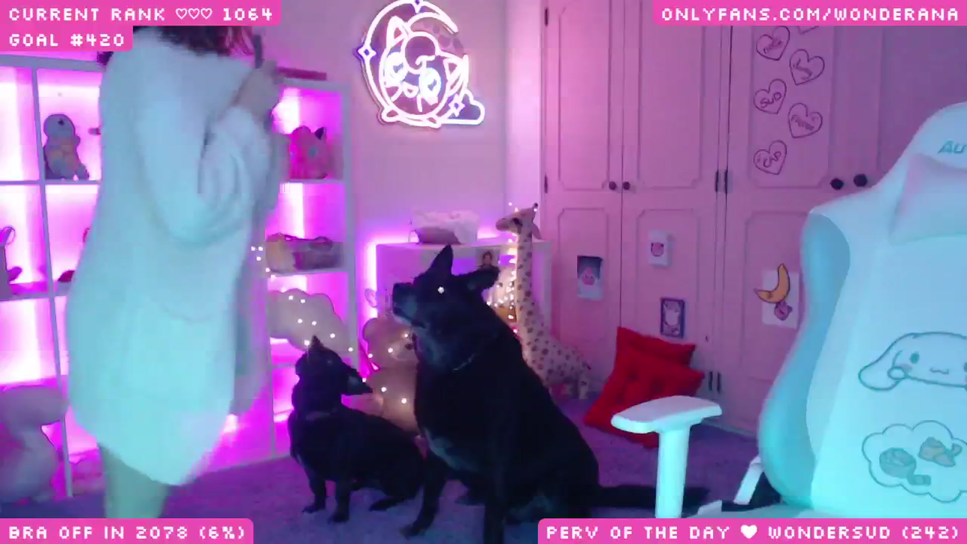 Gallery image thumbnail from WonderAna's myfreecams stream on, 06/07/2025, 01:04 image 18 of 20